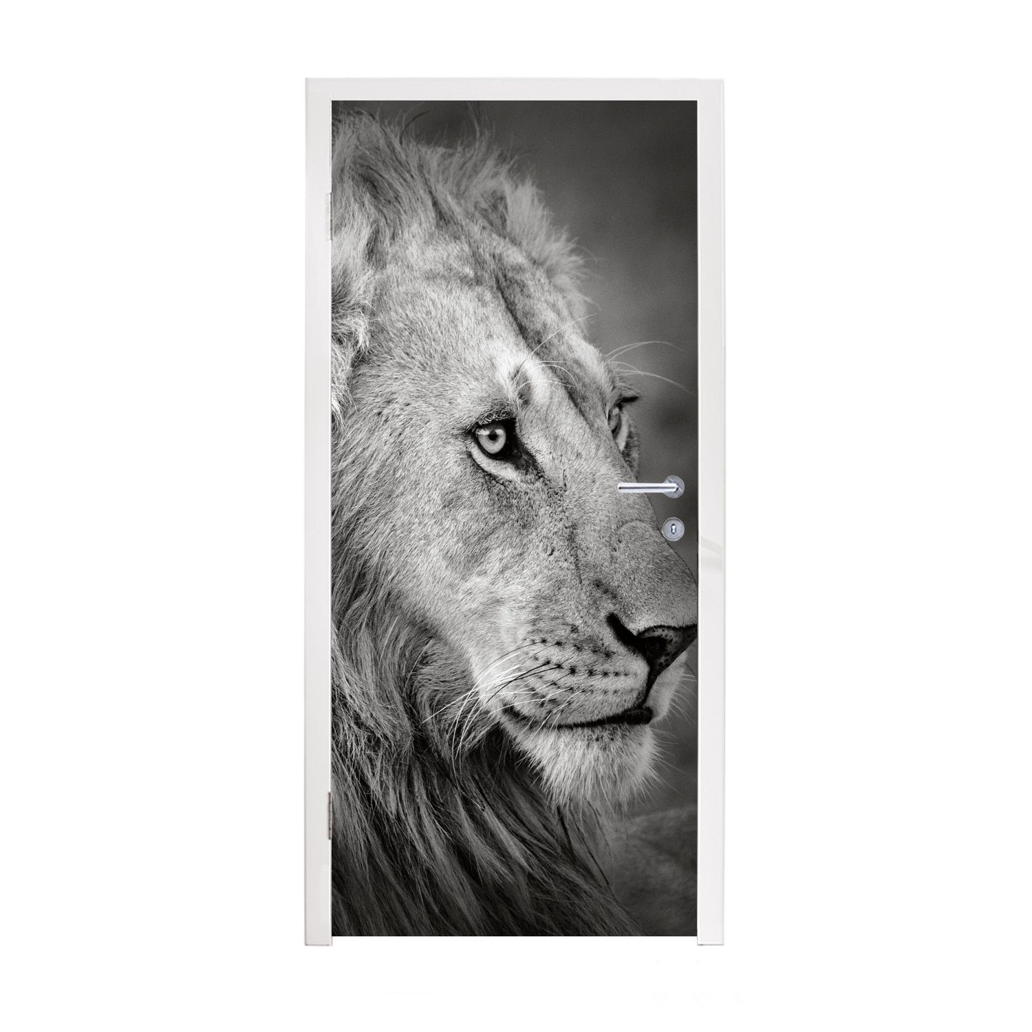 Türaufkleber, 75x205 Matt, (1 cm - Porträt, für bedruckt, Tür, St), MuchoWow Tiere Fototapete Türtapete - Löwe