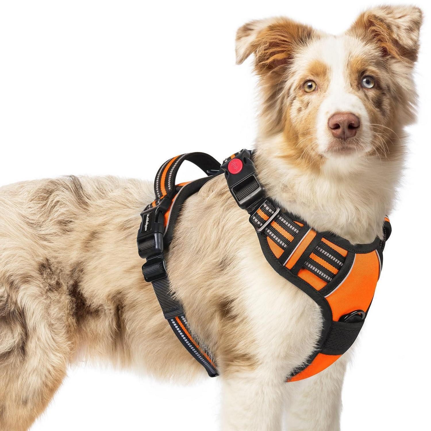 LuxusKollektion Hunde-Geschirr Hundegeschirr M Orange Leicht Anlegen, Textil