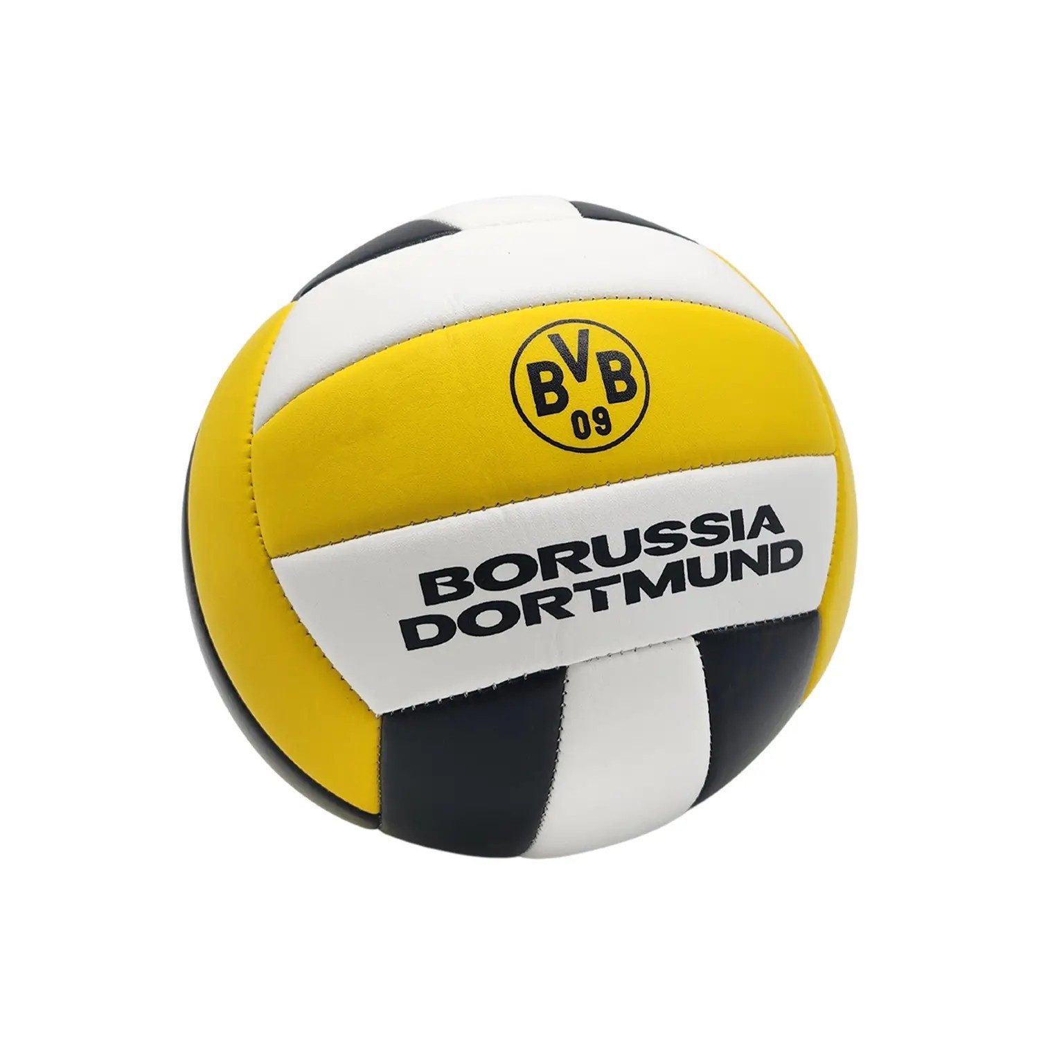 Volleyball BVB Volleyball