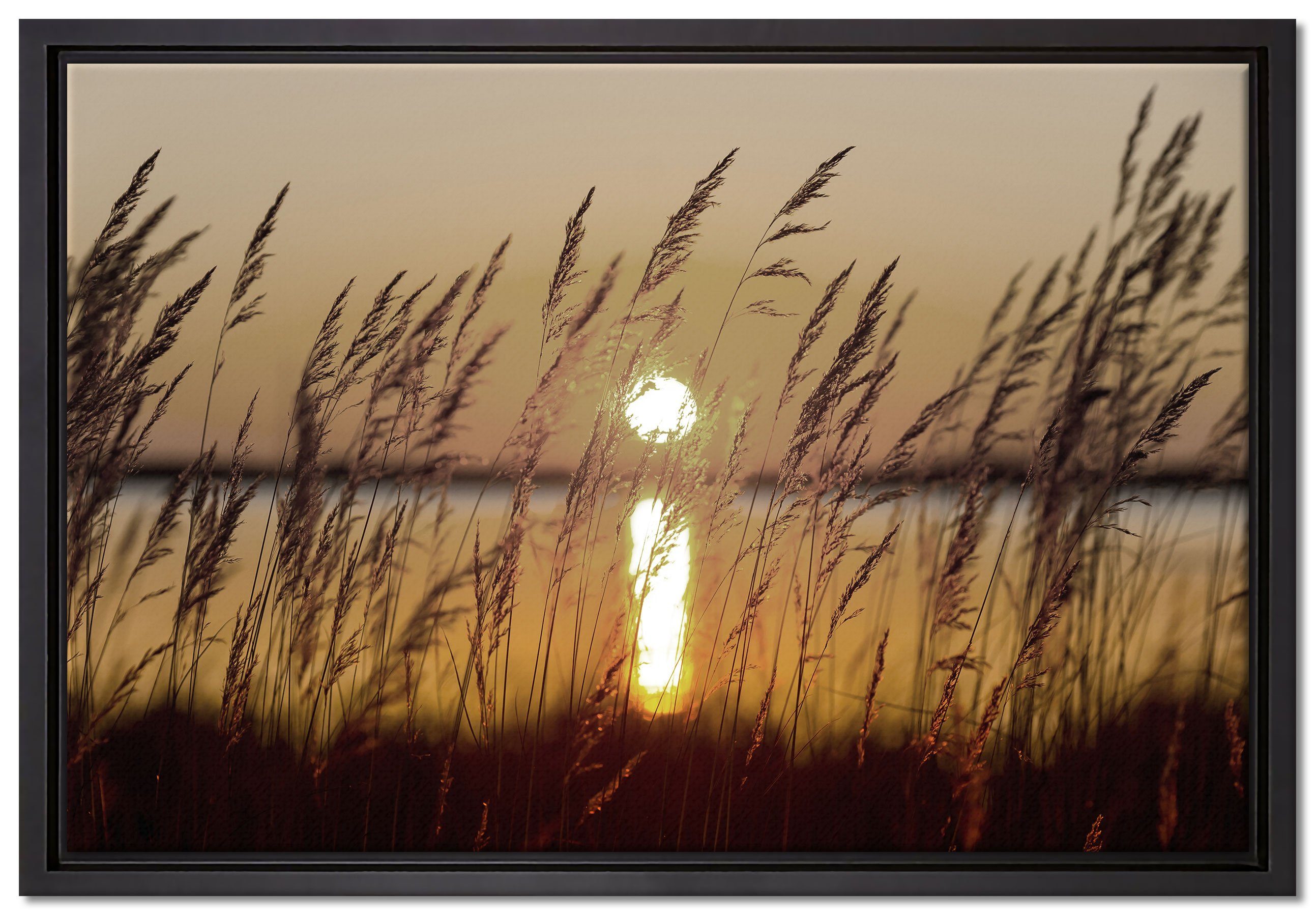 Pixxprint Leinwandbild Gräser bei Sonnenuntergang, Wanddekoration (1 St), Leinwandbild fertig bespannt, in einem Schattenfugen-Bilderrahmen gefasst, inkl. Zackenaufhänger | Leinwandbilder