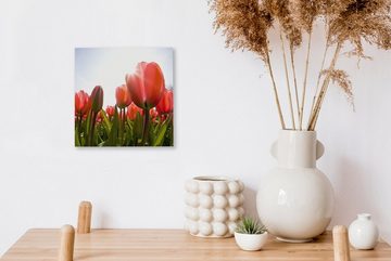 OneMillionCanvasses® Leinwandbild Blumen - Tulpen - Sonne, (1 St), Leinwand Bilder für Wohnzimmer Schlafzimmer