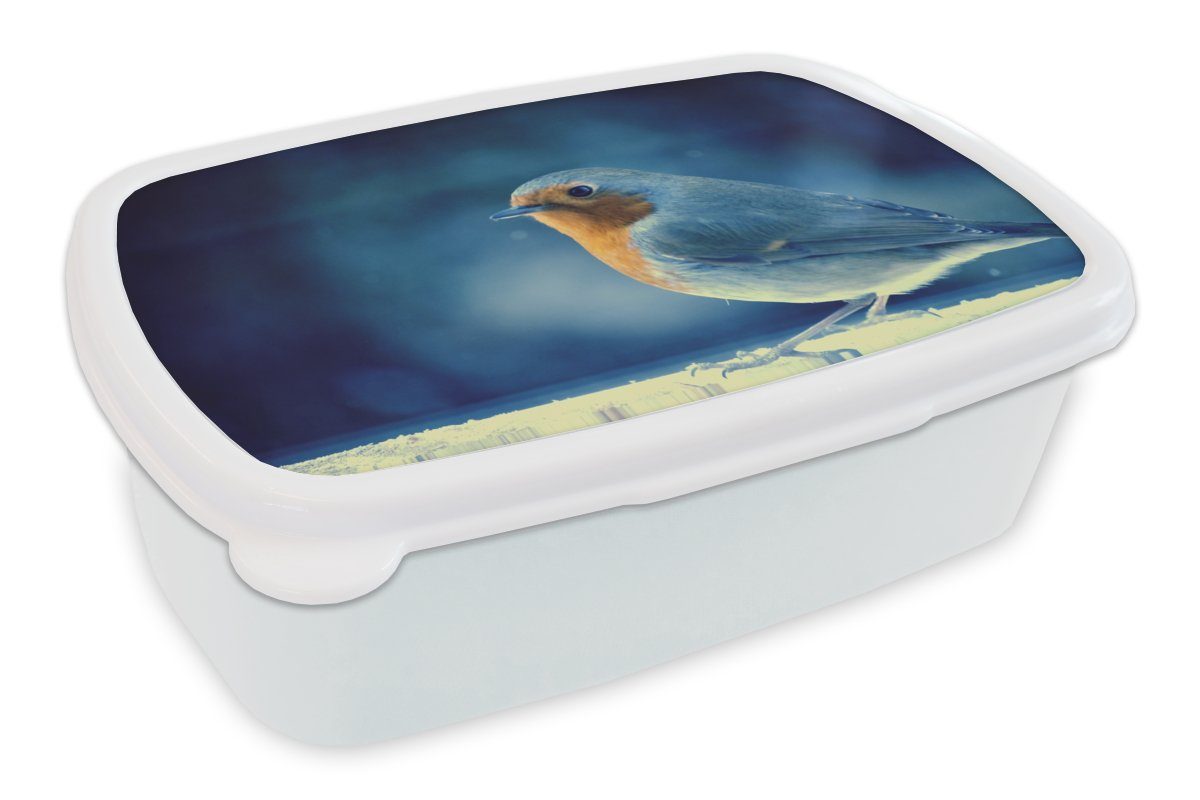 MuchoWow Lunchbox Rotkehlchen - Blau - Schnee, Kunststoff, (2-tlg), Brotbox für Kinder und Erwachsene, Brotdose, für Jungs und Mädchen weiß
