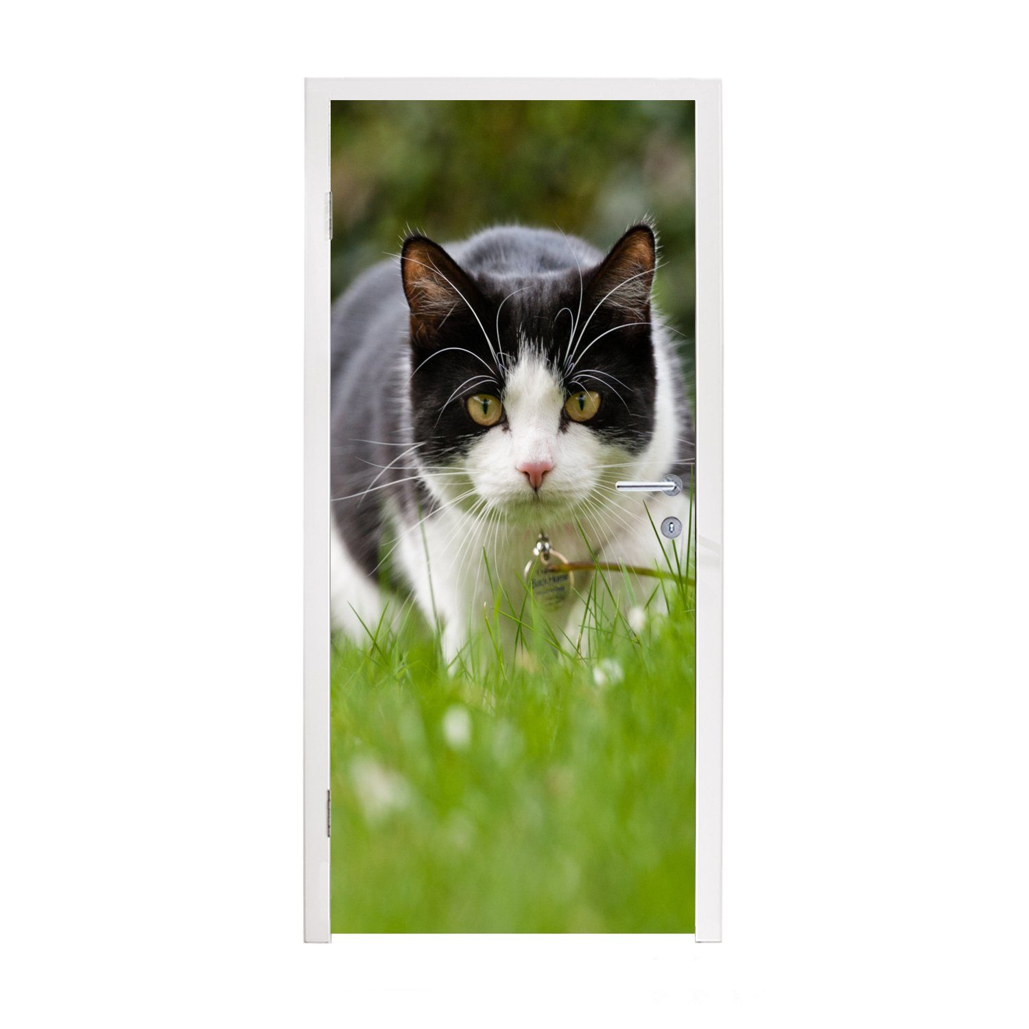 Türtapete Fototapete - - Katze - (1 Matt, bedruckt, - - Weiß Kinder, für Mädchen Türaufkleber, Gras St), Jungen Kinder 75x205 - Tür, MuchoWow Schwarz - cm