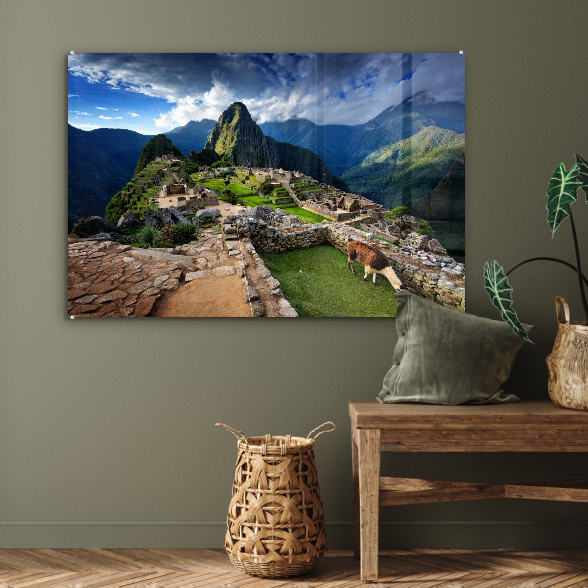 - Picchu Acrylglasbilder Gras, - (1 Acrylglasbild St), Wohnzimmer Machu & Schlafzimmer MuchoWow Lama