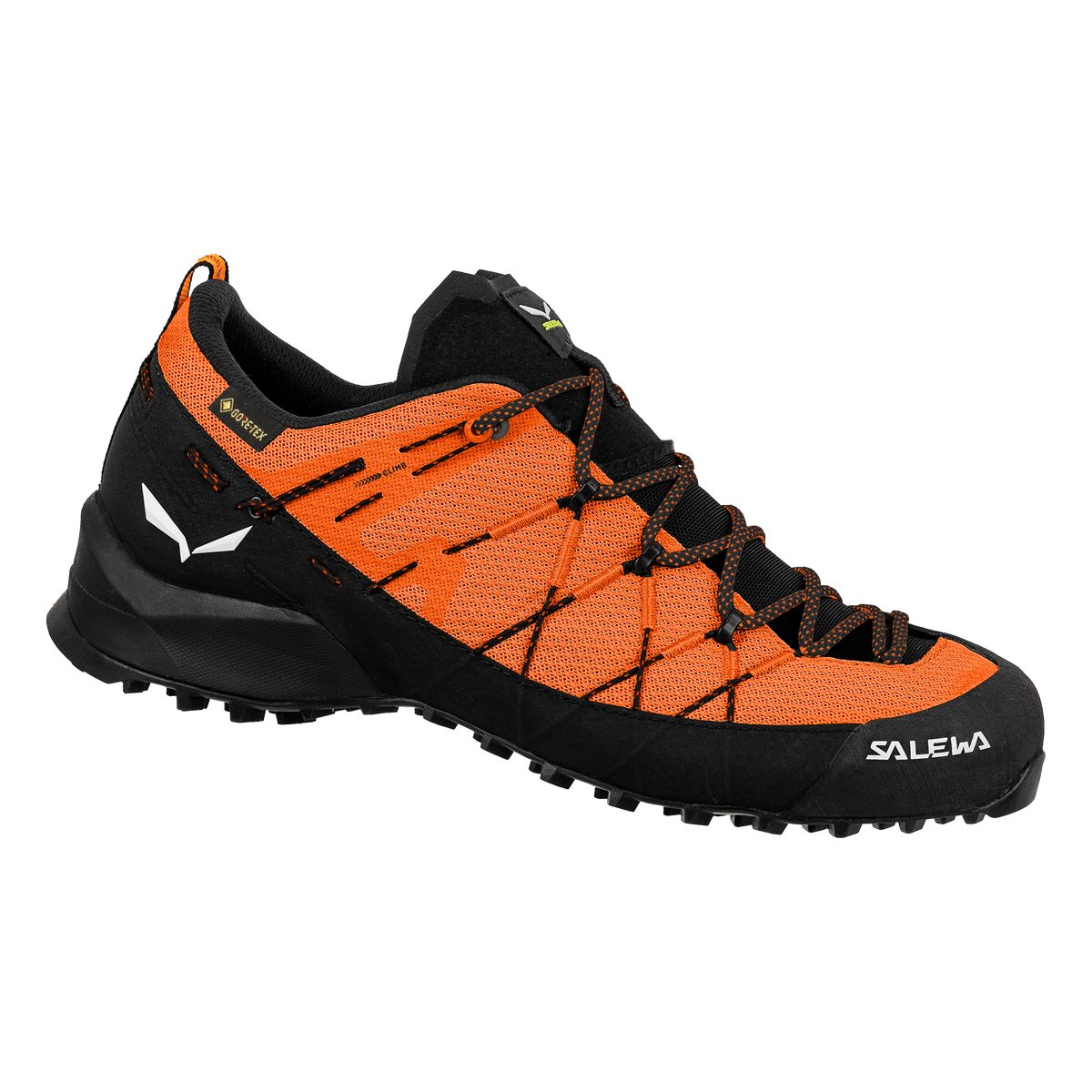 Salewa Zustiegsschuh Wildfire 2 GTX (Herren) – Salewa Outdoorschuh
