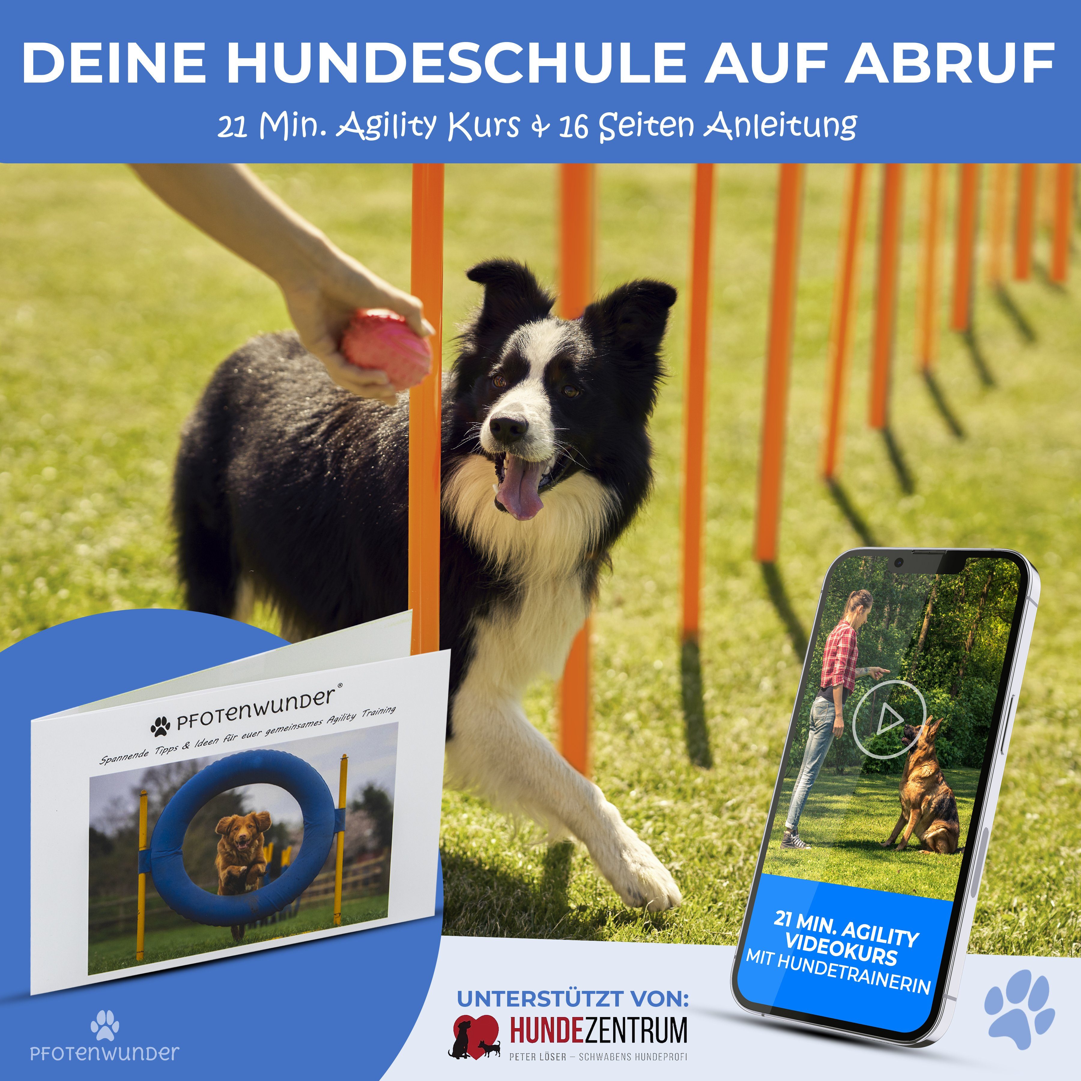 PfotenWunder Agility-Slalom 9-in-1 Agility Set Hunde groß, Training Sport Parcour Hürden