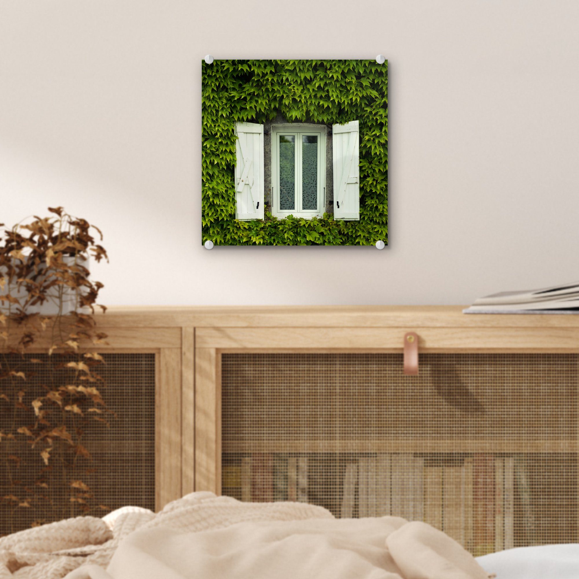 auf auf - Wandbild zwischen Glasbilder Acrylglasbild mit - Fenster - Bilder Fensterläden MuchoWow Glas Kletterpflanzen, Glas St), Foto Wanddekoration (1