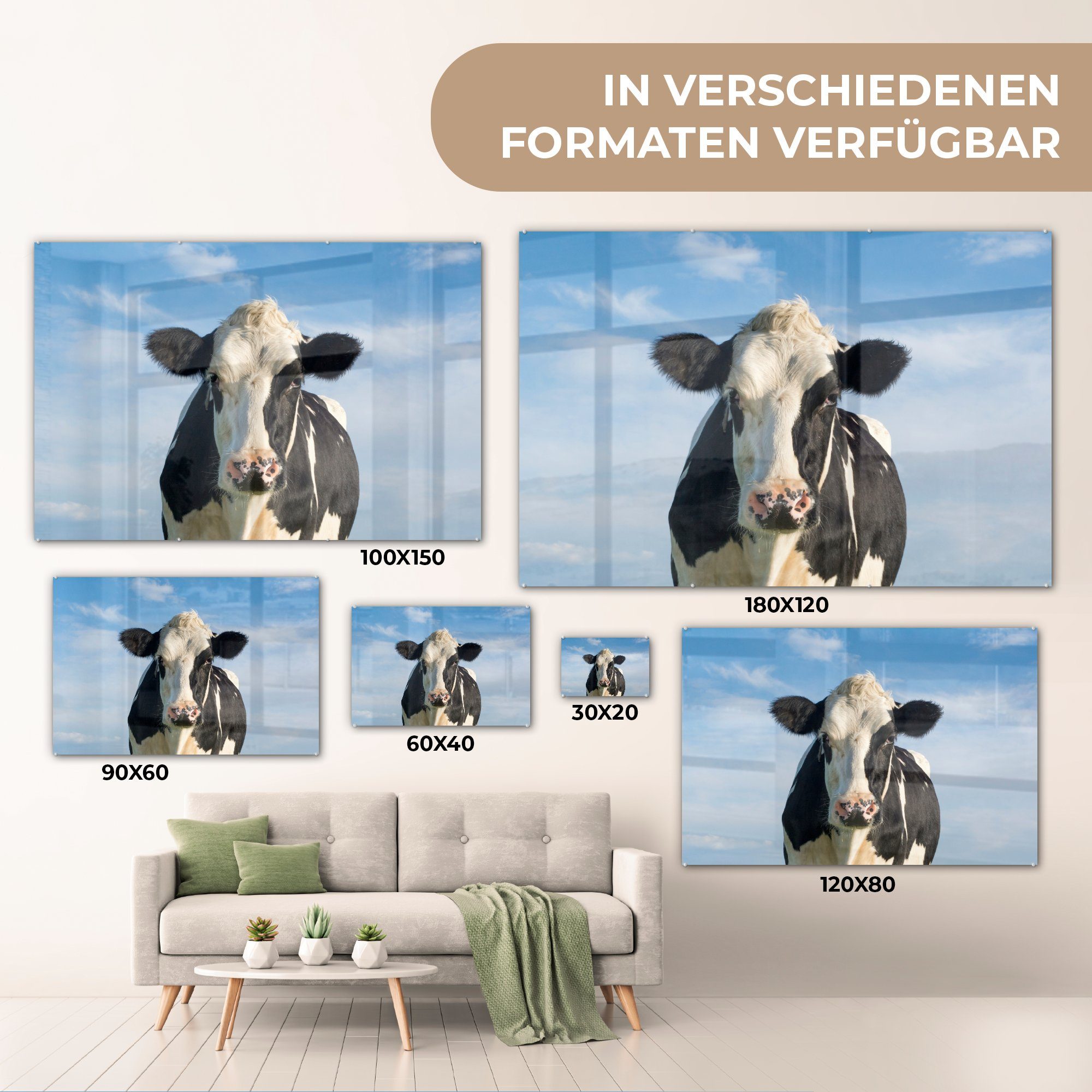 Wohnzimmer Schlafzimmer Niederlande MuchoWow & (1 - Luft, - Acrylglasbild Kuh St), Acrylglasbilder