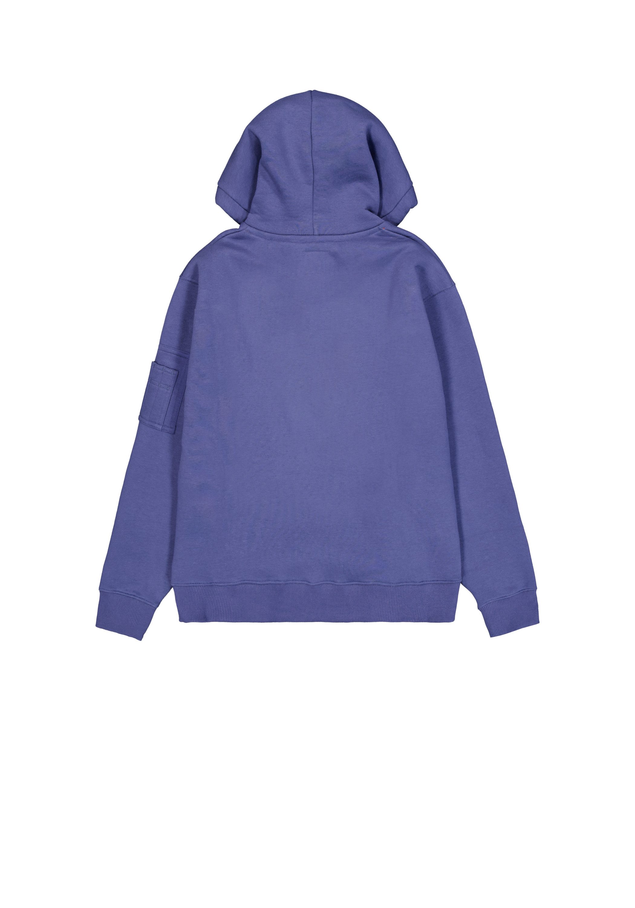 Alpha Industries Hoodie Alpha Puff Print Hoodie günstig online kaufen