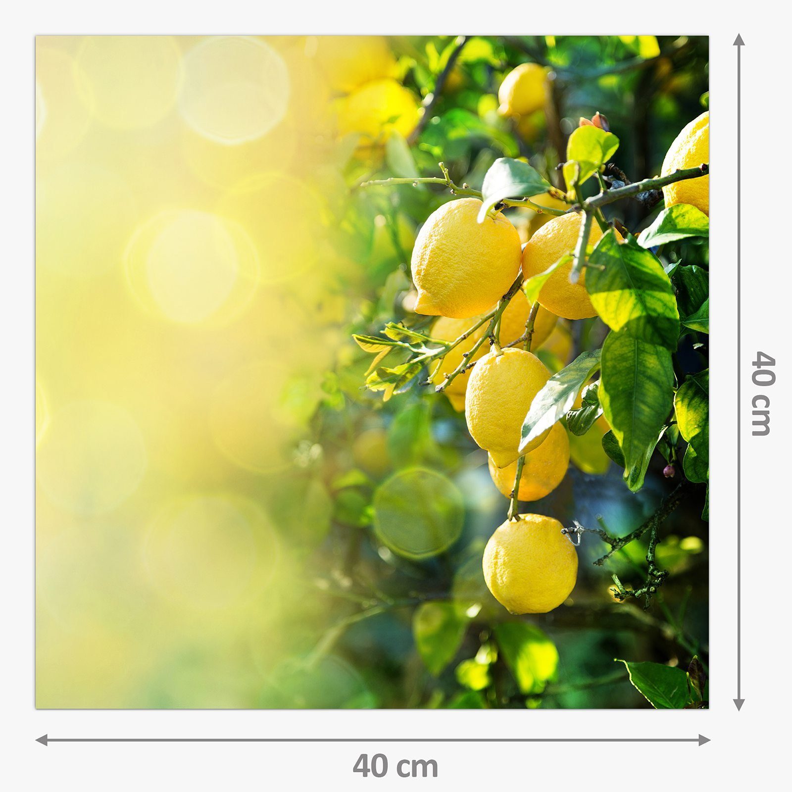 Glas Motiv Spritzschutz Sonnenlicht Küchenrückwand im Primedeco Zitronen Küchenrückwand mit