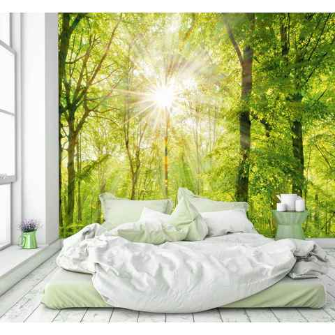 murimage® Fototapete Fototapete Wald 3D 274 x 254cm Bäume Sonne Wohnzimmer Schlafzimmer Küche inklusive Kleister