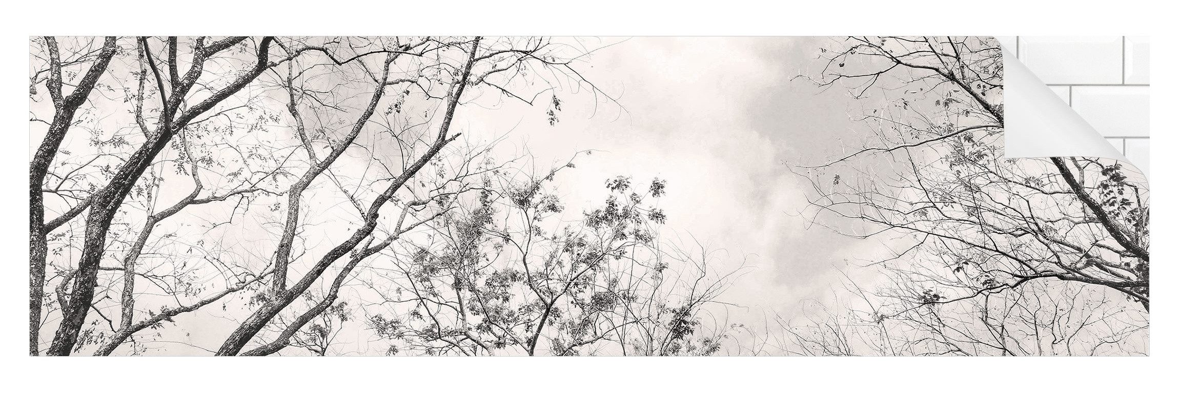 Bilderdepot24 Badrückwand grau fugenlose Wandverkleidung Bad Tropisch, (Hartfolie matt » Selbstklebend SMART 0,35 mm), wasserfestes Wandpaneel Baumkronen Himmel Warmgrau