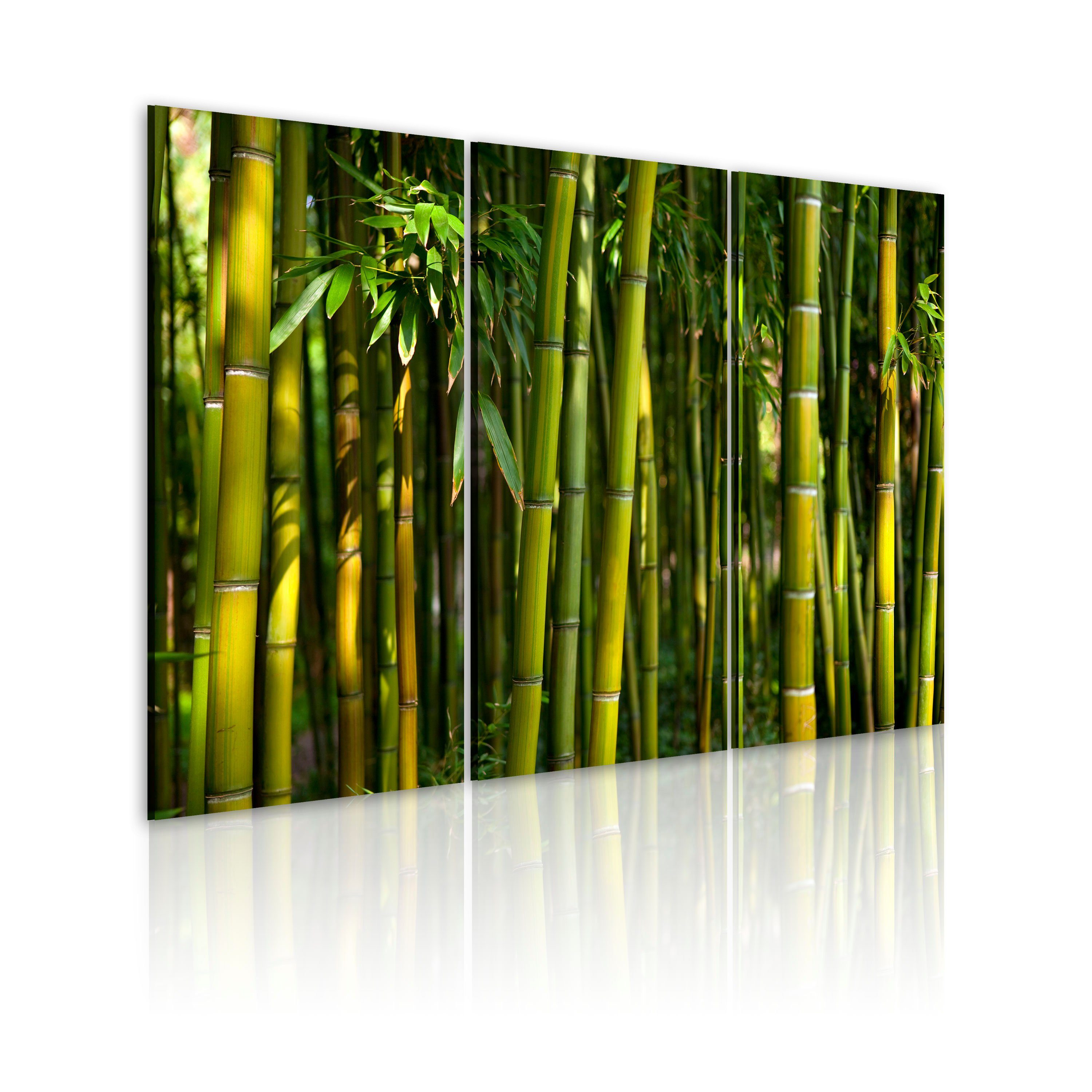 Basera® Wandbild Leinwandbild 030210-59