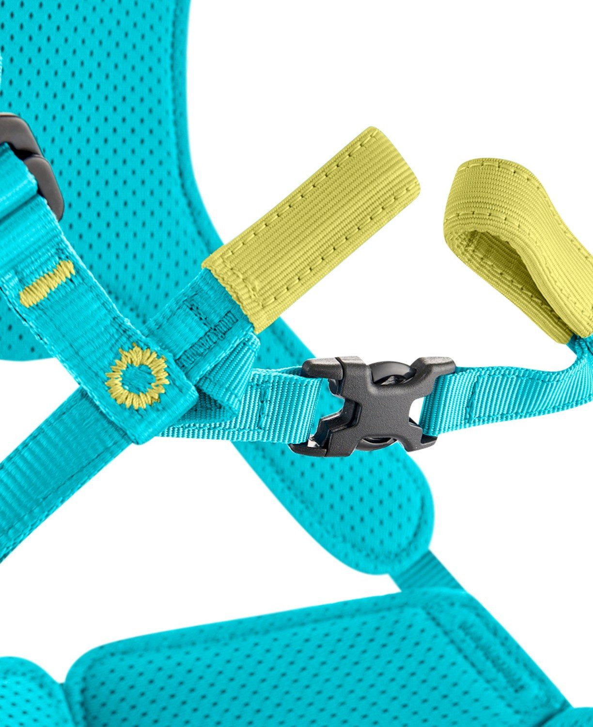 Edelrid Klettergurt Fraggle III, (1-tlg), Kinder- und familienfreundliches Design, einfache Handhabung