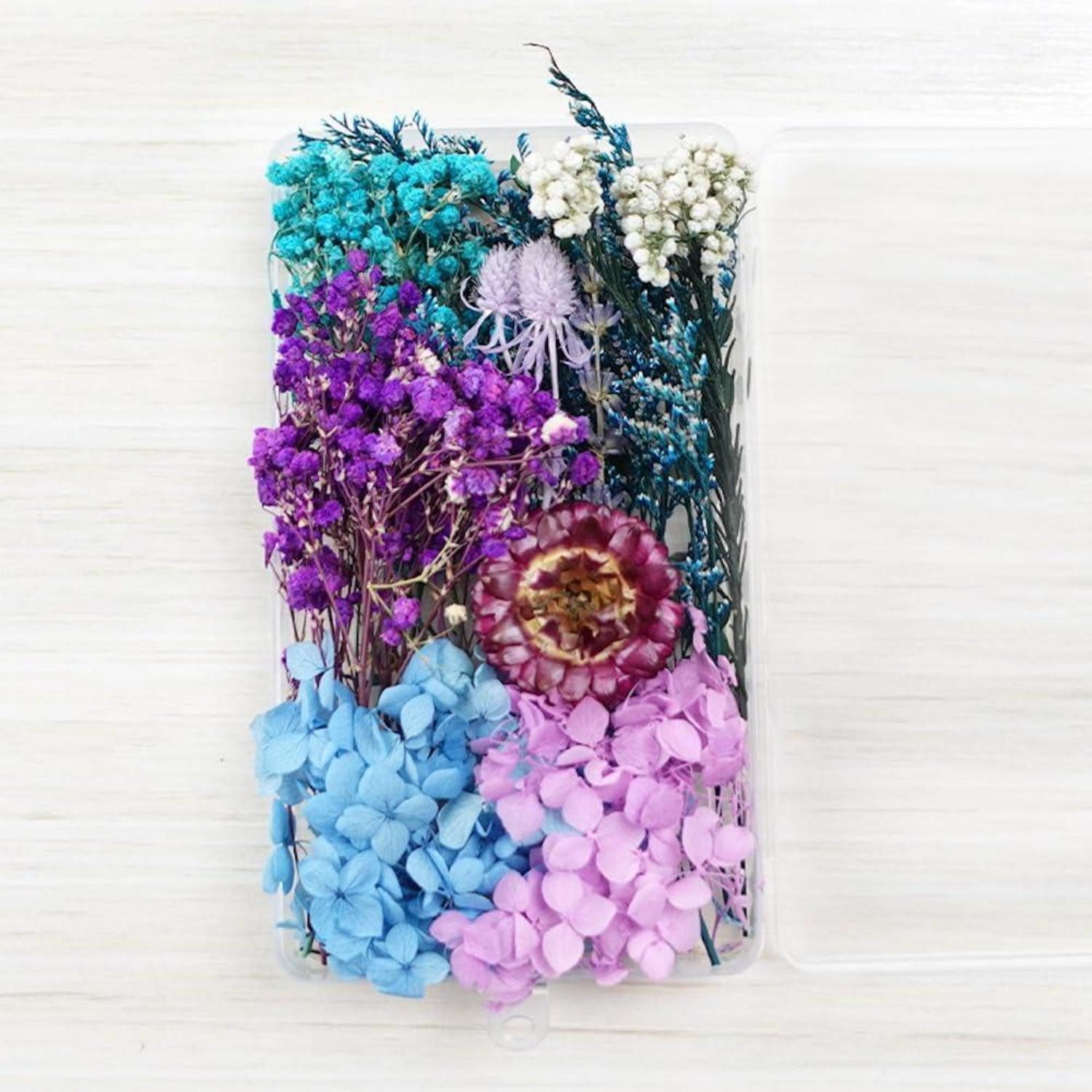 Trockenblume Trockenblumen DIY Set Blau Lila, LuxusKollektion