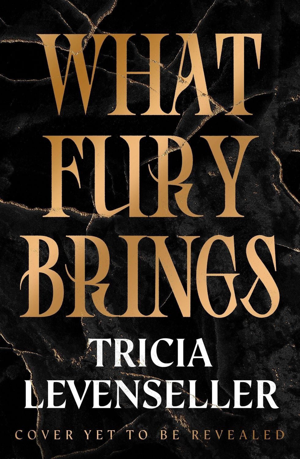 What Fury Brings / Tricia Levenseller