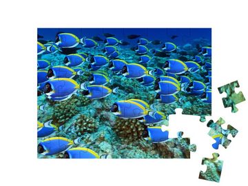 puzzleYOU Puzzle Schwarm von Doktorfischen im Korallenriff, 48 Puzzleteile, puzzleYOU-Kollektionen Fische, Unterwasser
