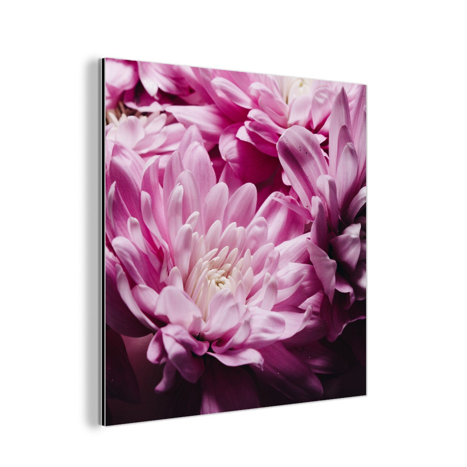MuchoWow Metallbild Blumen - Rosa Aluminium Gemälde Alu-Dibond-Druck, - aus Natur, St), Metall, deko (1