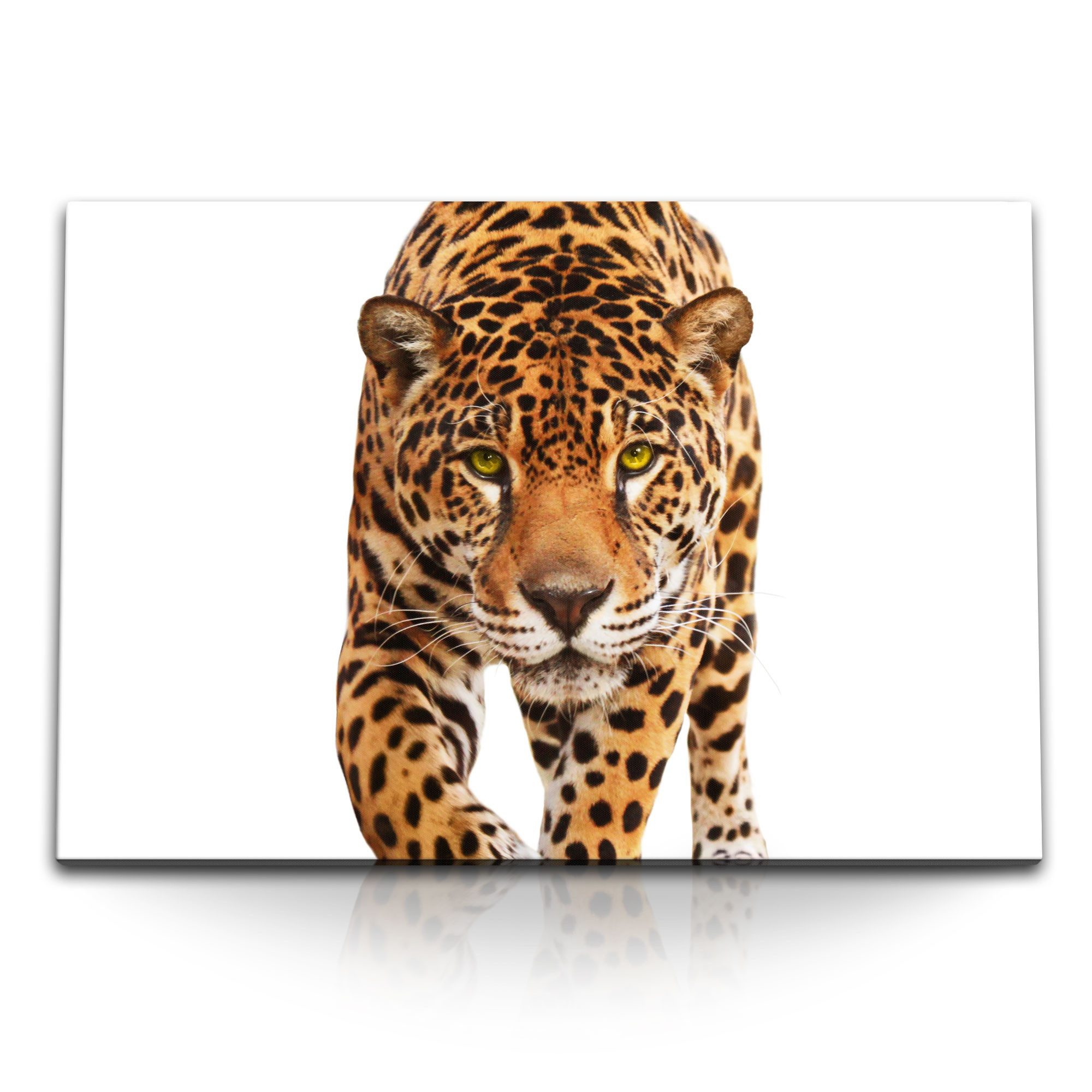 Leinwandbild 120x80cm Wandbild auf Leinwand Jaguar Katze Tierfotografie Raubkatze L