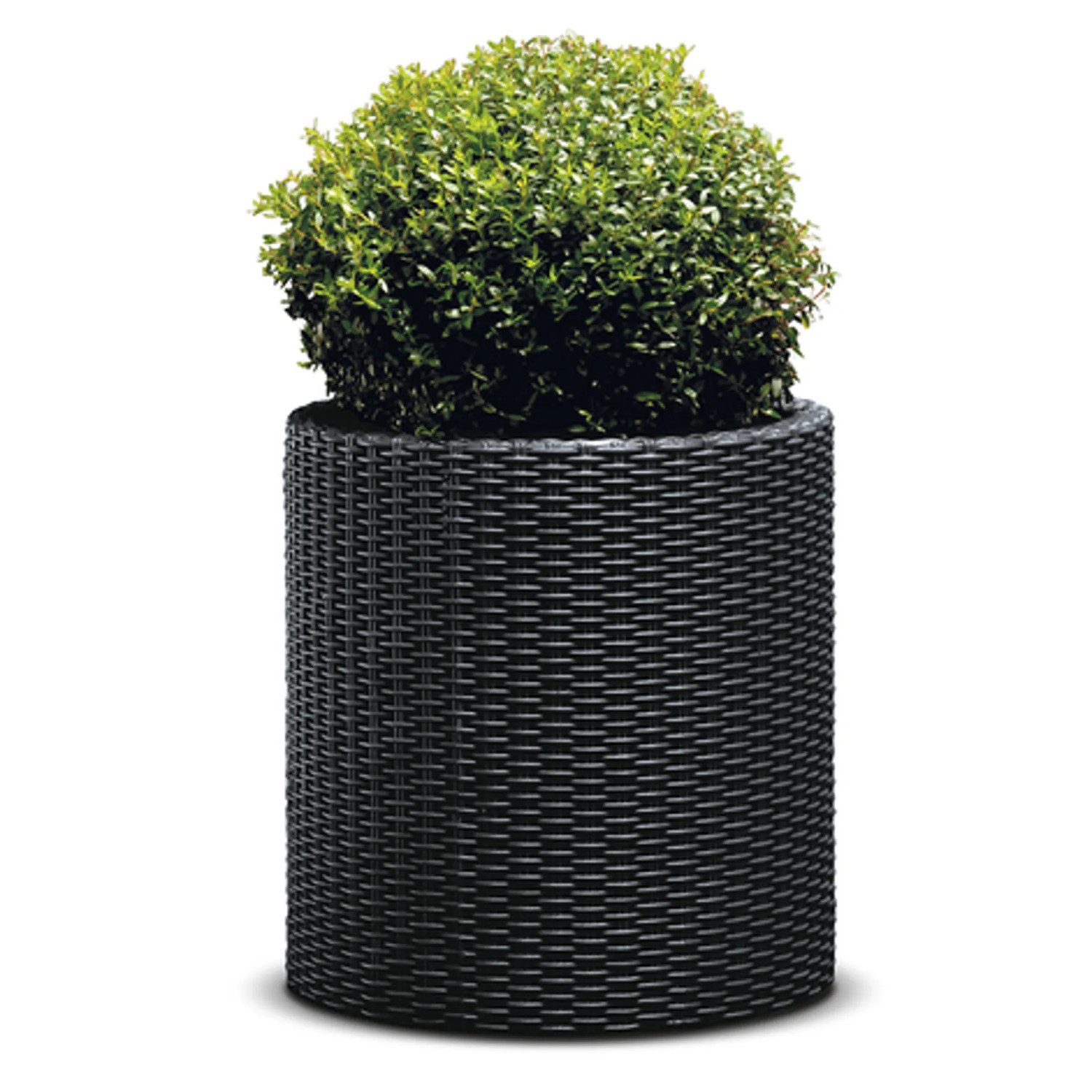 Keter Blumentopf, Keter Cylinder Planter M günstig online kaufen