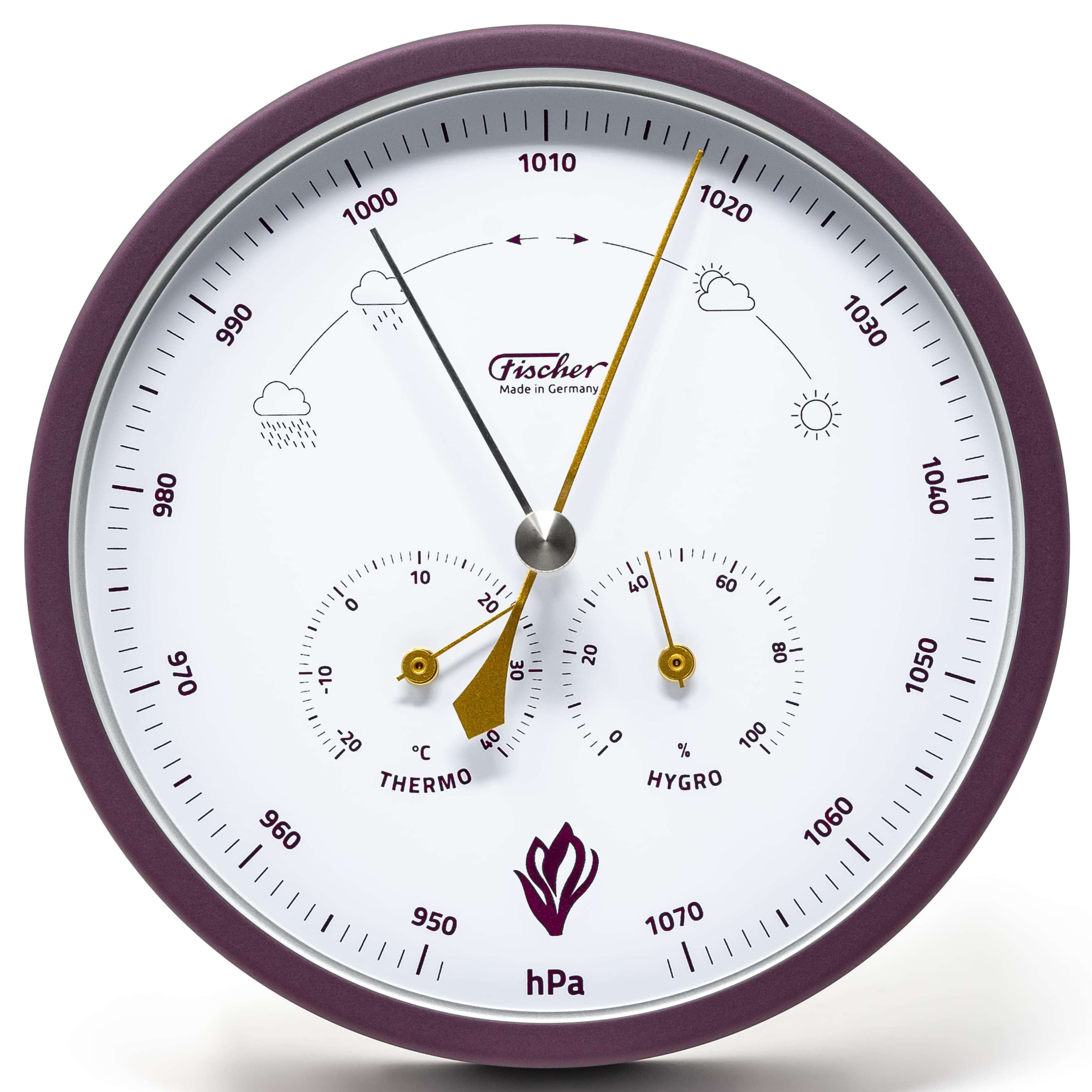 Fischer Fischer 1602-24 Wetterstation KROKUS 160mm Made in Germany Außenwetterstation