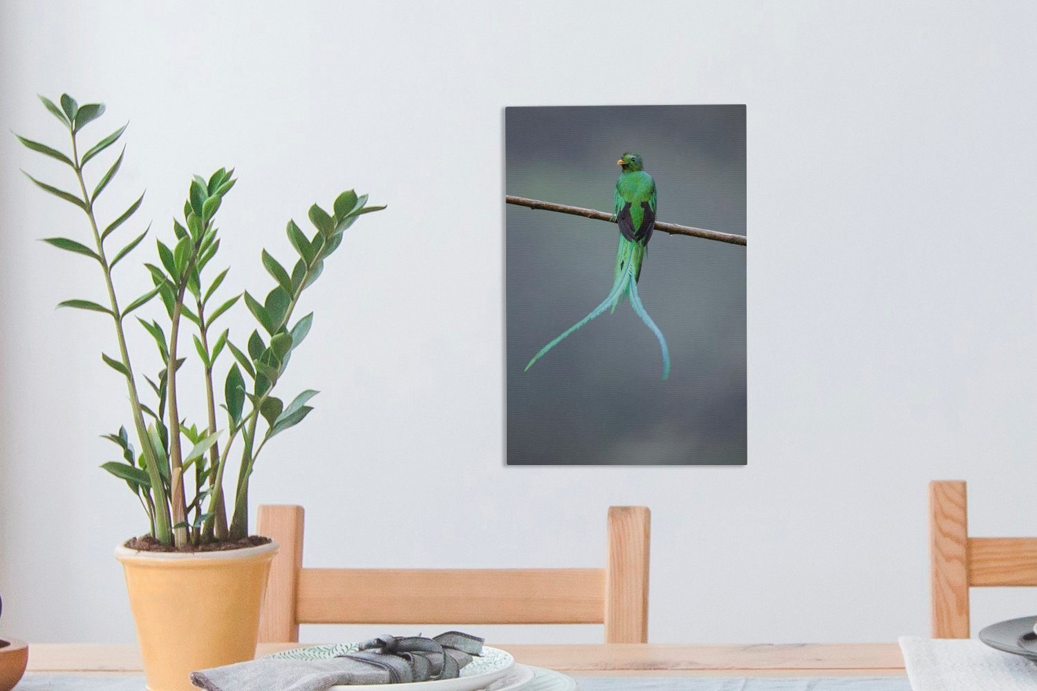 OneMillionCanvasses® Leinwandbild Wäldern fertig von inkl. (1 cm bespannt Der St), Leinwandbild Gemälde, Zackenaufhänger, den 20x30 Costa Rica, Quetzal in