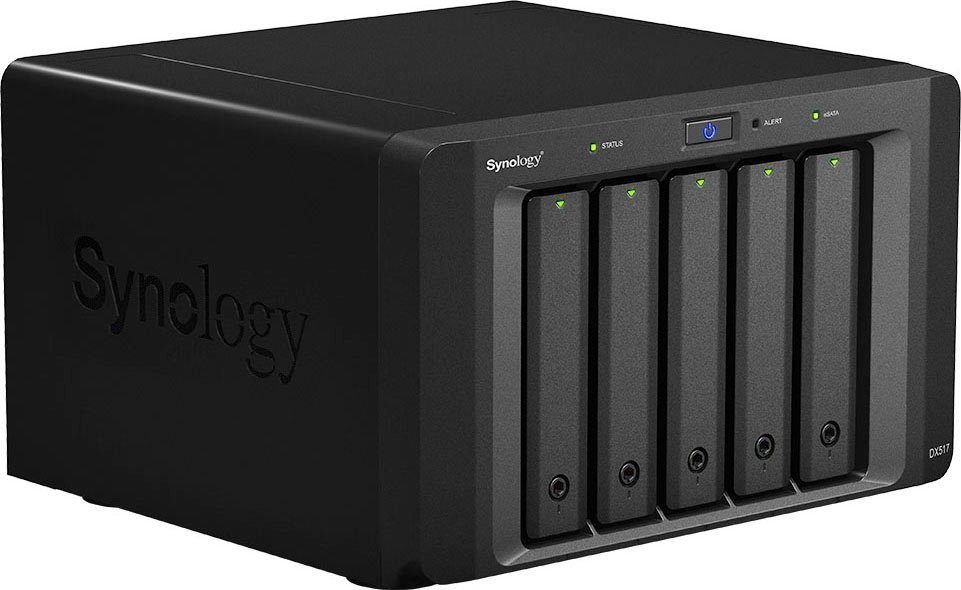 Synology DX517 NAS-Server