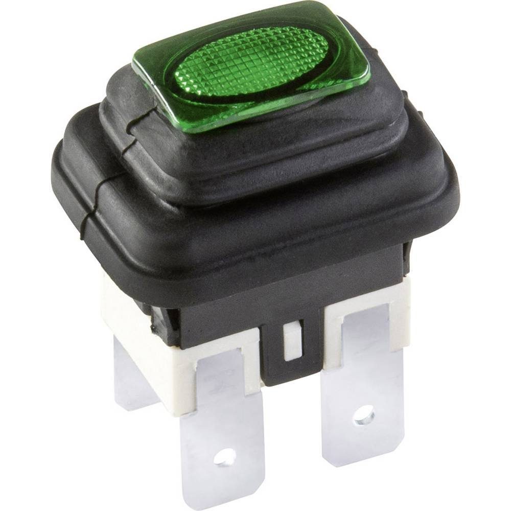 interBär Schalter Druckschalter 2-polig 36 3658-250.22, mit Membran