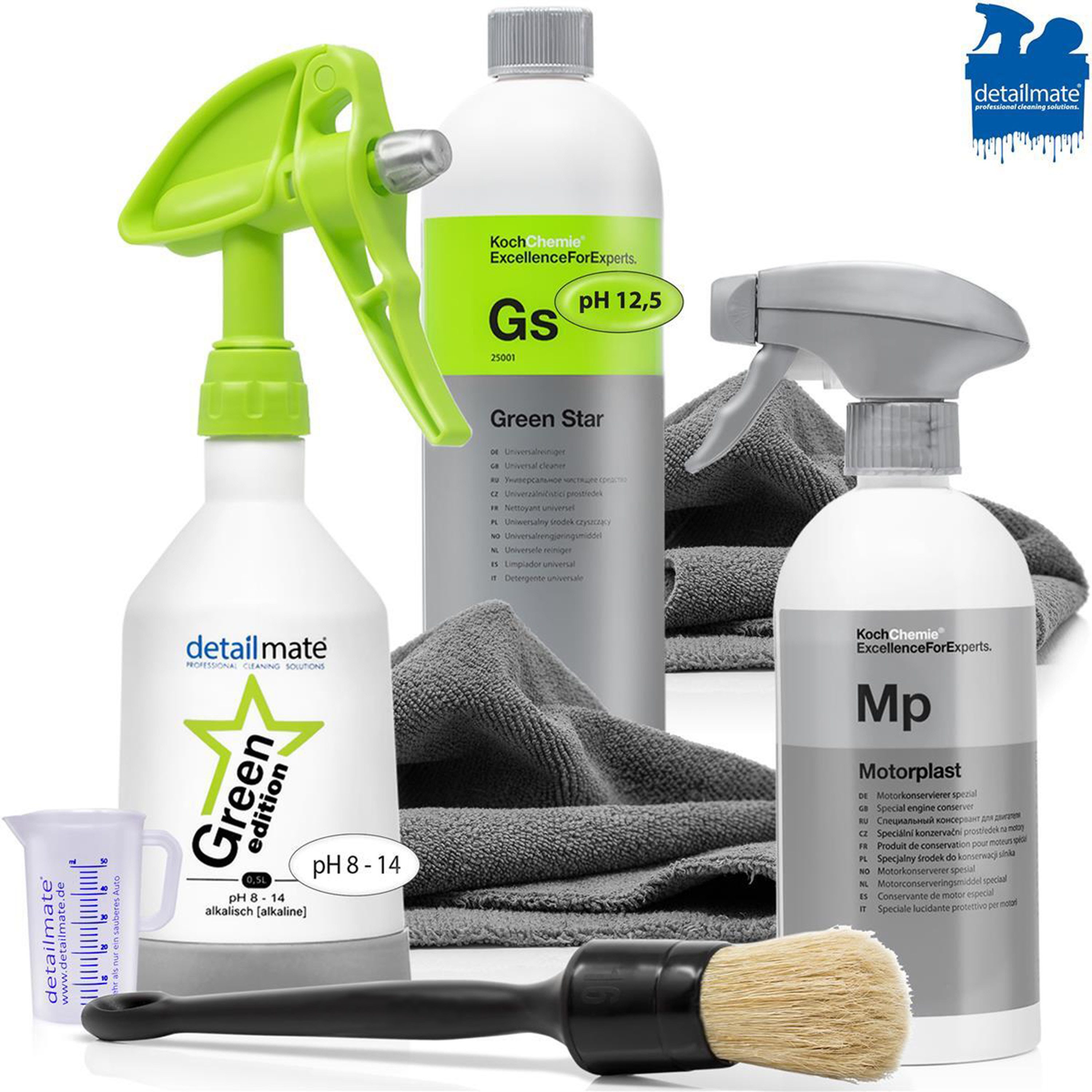 detailmate Auto Motor Reinigungs Set Koch Chemie Green Star Motorplast Universalreiniger (8-St. Pinsel Sprühflasche Mikrofasertuch Motorwäsche)