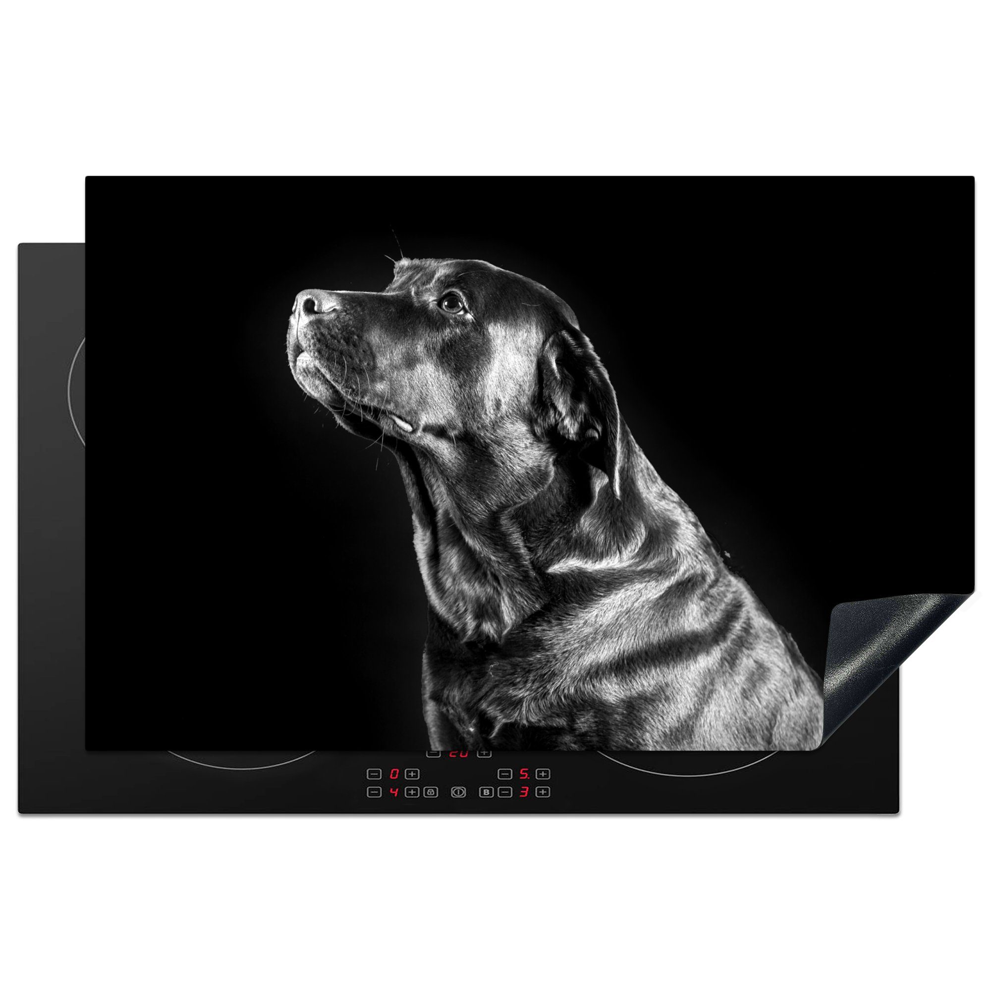 MuchoWow Herdblende-/Abdeckplatte Brauner Labrador auf schwarzem Hintergrund - schwarz und weiß, Vinyl, (1 tlg), 81x52 cm, Induktionskochfeld Schutz für die küche, Ceranfeldabdeckung