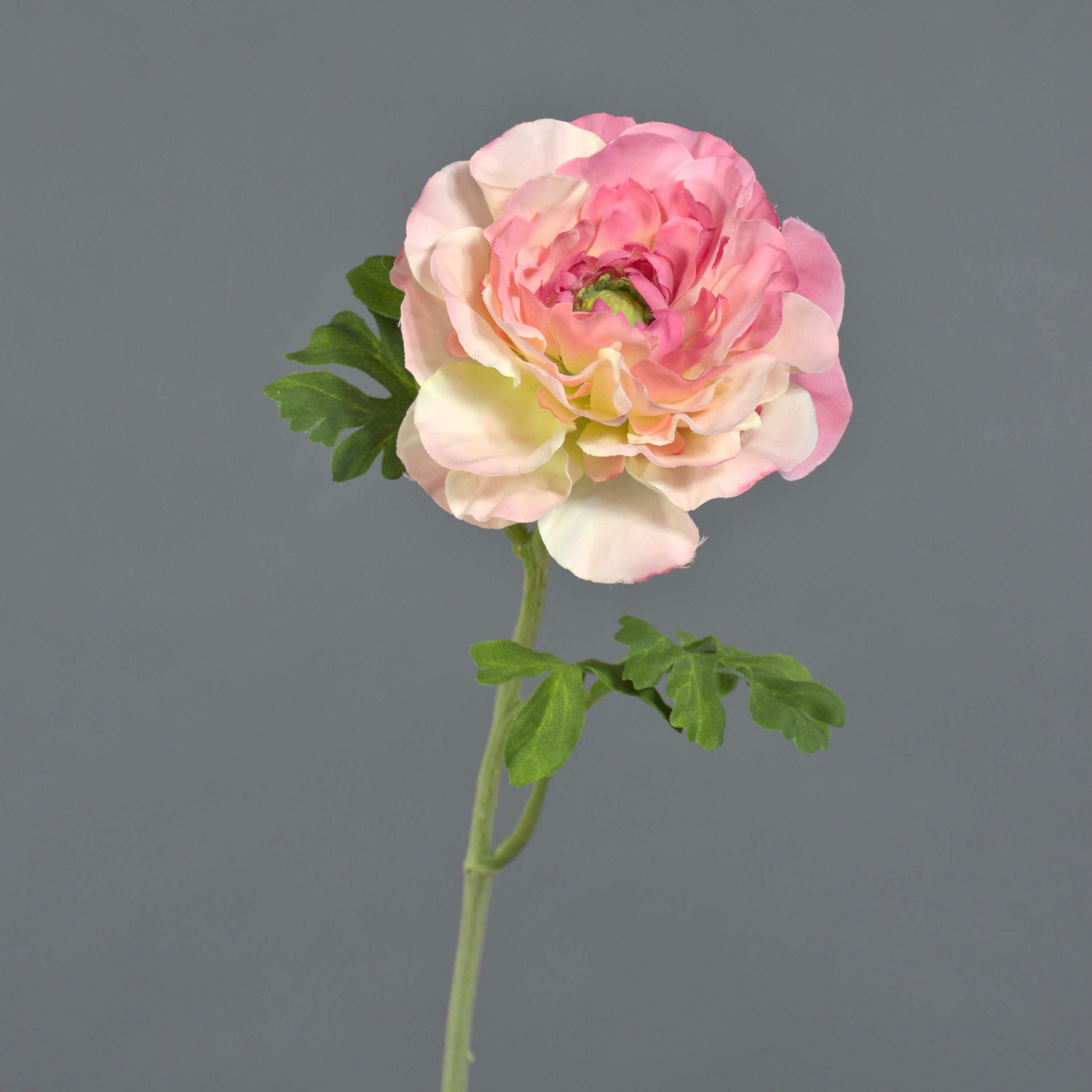 Kunstblume Deko Ranunkel Kristy, rosa-pink, 60cm, Ø10cm Ranunkel, artplants, Höhe 60.0 cm