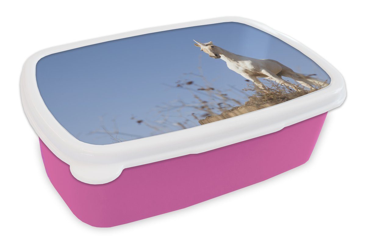 MuchoWow Lunchbox Einhorn auf einer Bergkuppe, Kunststoff, (2-tlg), Brotbox für Erwachsene, Brotdose Kinder, Snackbox, Mädchen, Kunststoff rosa