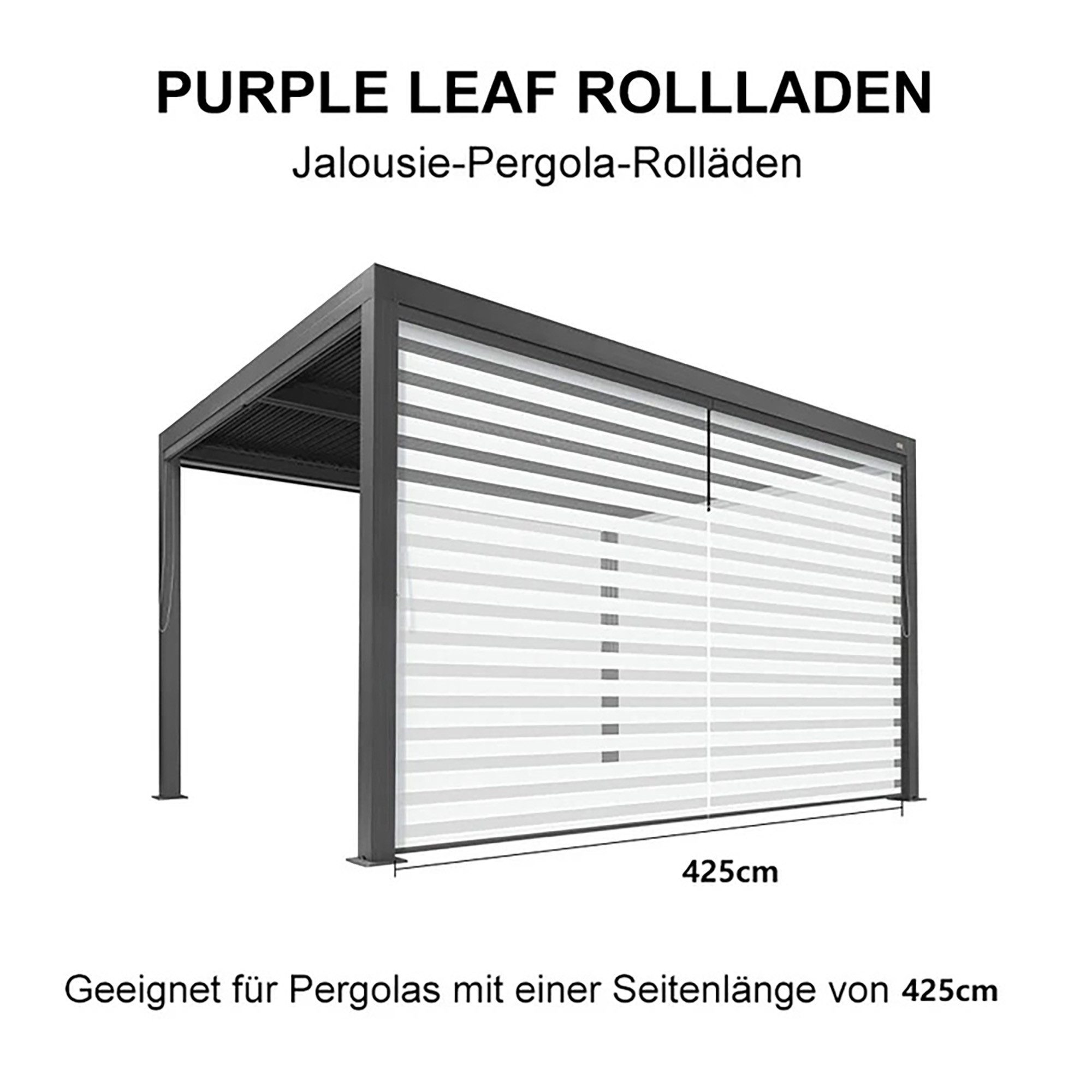 PURPLE LEAF Seitenmarkise Lamellenpergola Zubehör, Seitenrollo, absenkbarer günstig online kaufen