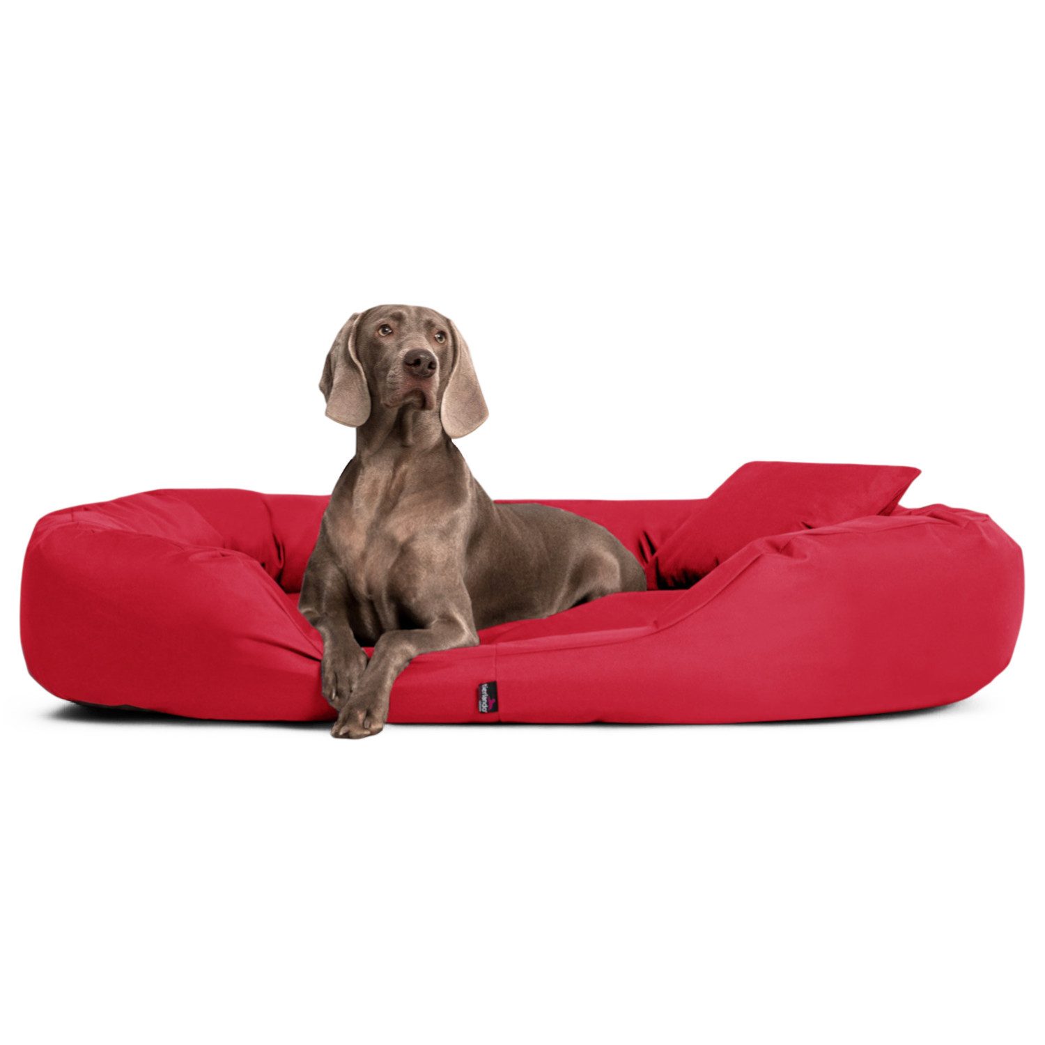 tierlando® Tierbett Orthopädisches Hundebett SAMMY, Robuster günstig online kaufen