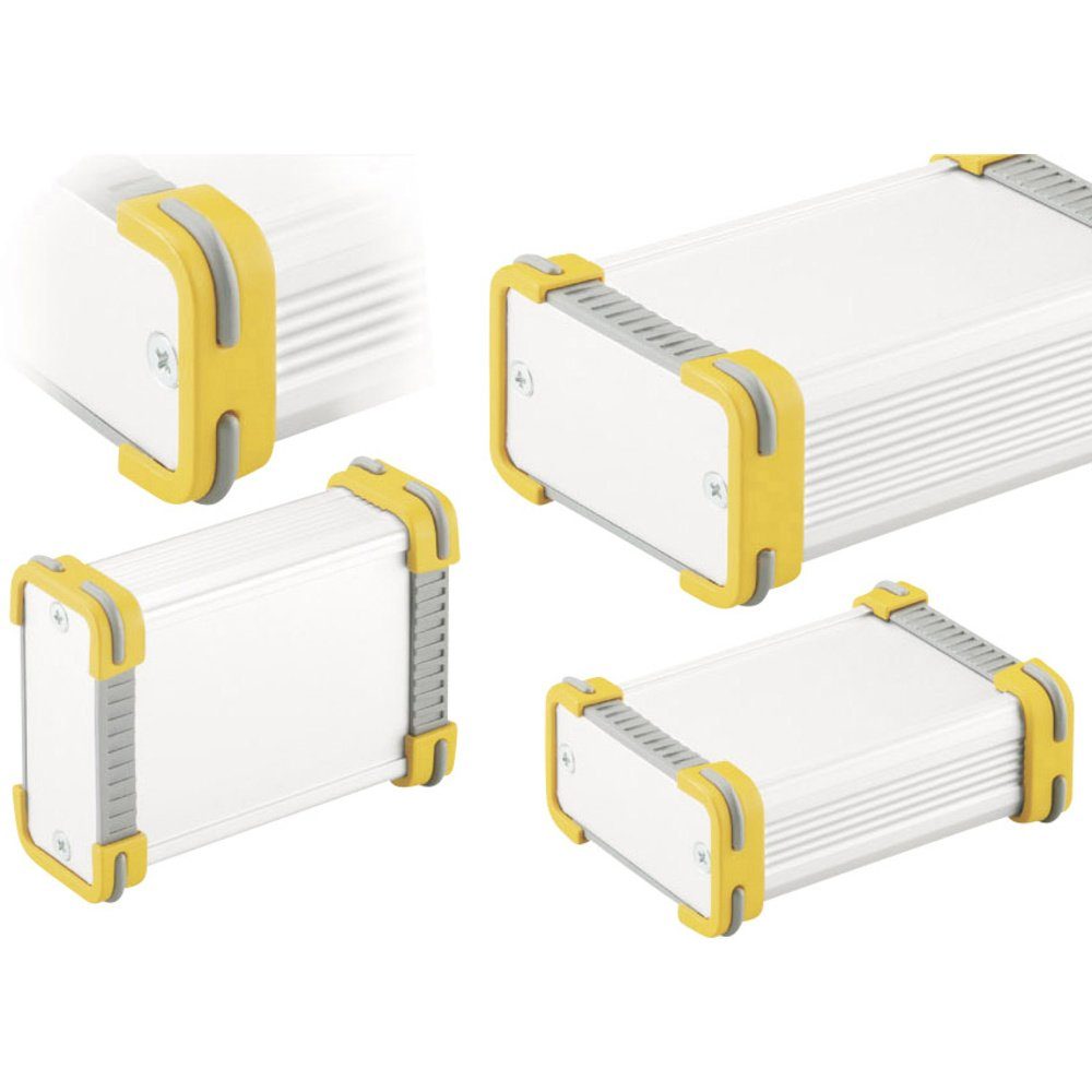 Fischer Elektronik Montagerückgehäuse Fischer Elektronik FR 55 25 100 ME 10035341 Profil-Gehäuse 114 x 63.6, (FR 55 25 100 ME)