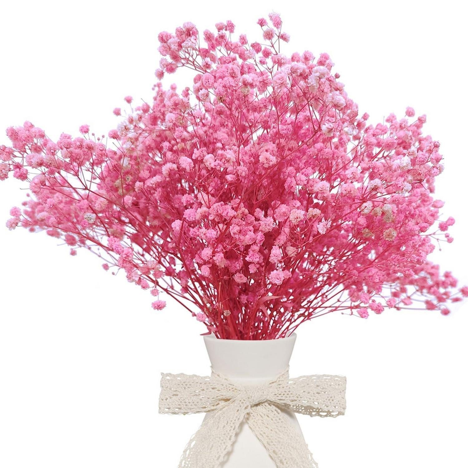 Trockenblume Getrocknetes Schleierkraut Rosa 37-38cm, LuxusKollektion, Höhe 10 cm