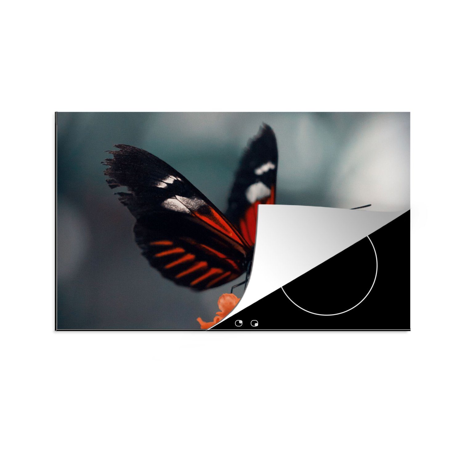 MuchoWow Herdblende-/Abdeckplatte Schmetterling - Blume - Insekt, Vinyl, (1 tlg), 80x52 cm, Induktionskochfeld Schutz für die küche, Ceranfeldabdeckung