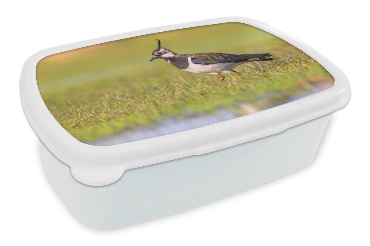 MuchoWow Lunchbox Vogel - Gras - Natur - Tiere - Kiebitz, Kunststoff, (2-tlg), Brotbox für Kinder und Erwachsene, Brotdose, für Jungs und Mädchen weiß