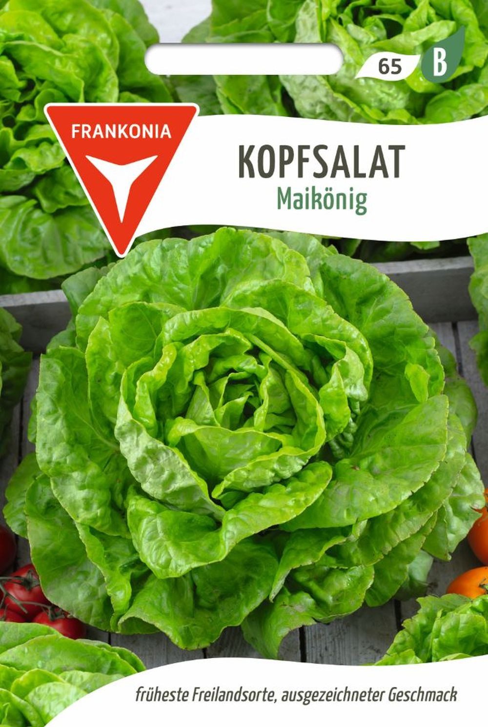 FRANKONIA Gemüsesamen Kopfsalat, Maikönig - Saatgut Salat-Samen Samen, Lactuca sativa