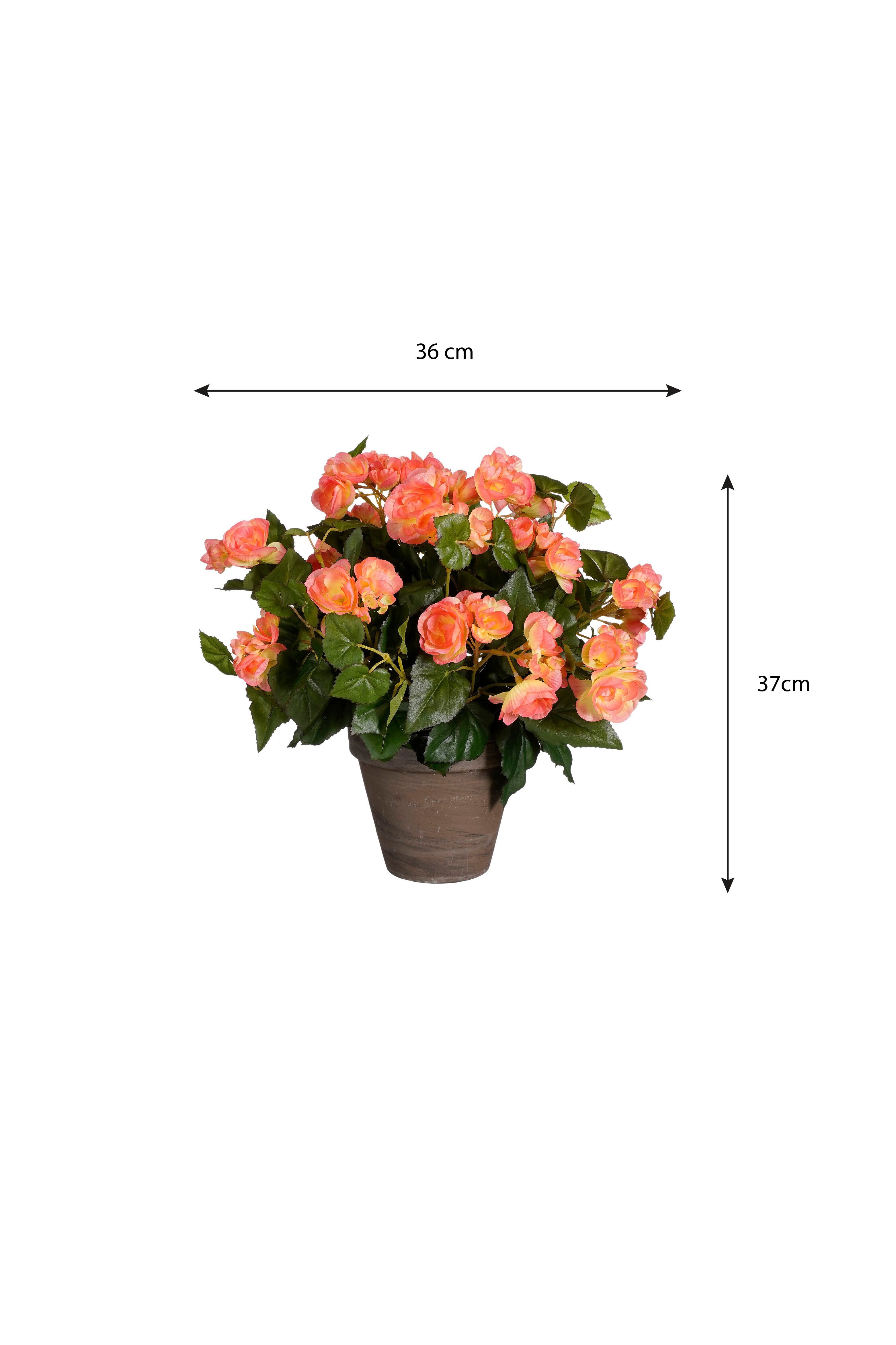 Kunstpflanze Mica Decorations Begonie lachs in Topf Stan grau d15,5cm - h37xd36cm, Mica Decorations, Höhe 37 cm
