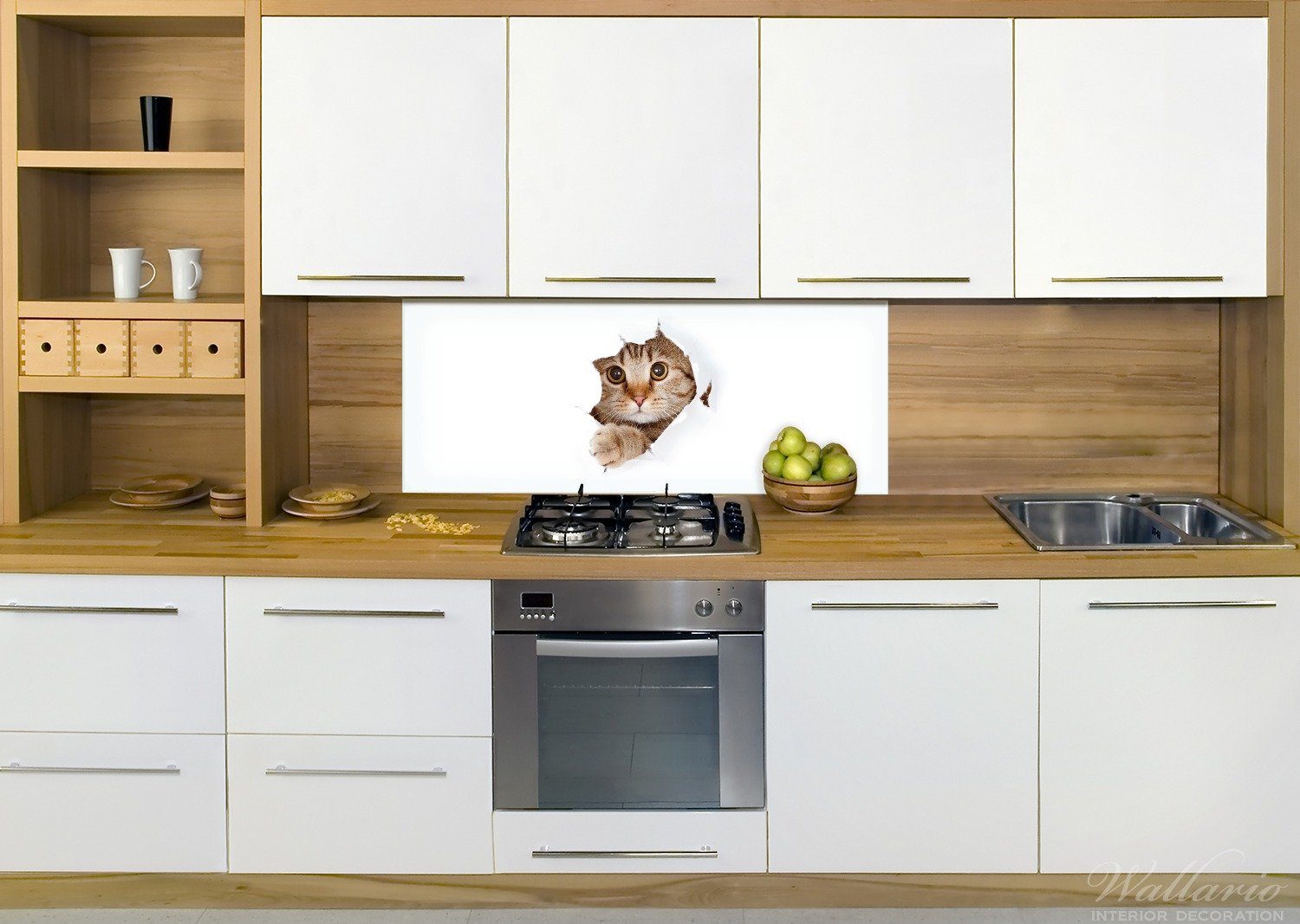 Blick vorn, Wallario Katze mit (1-tlg) Küchenrückwand nach