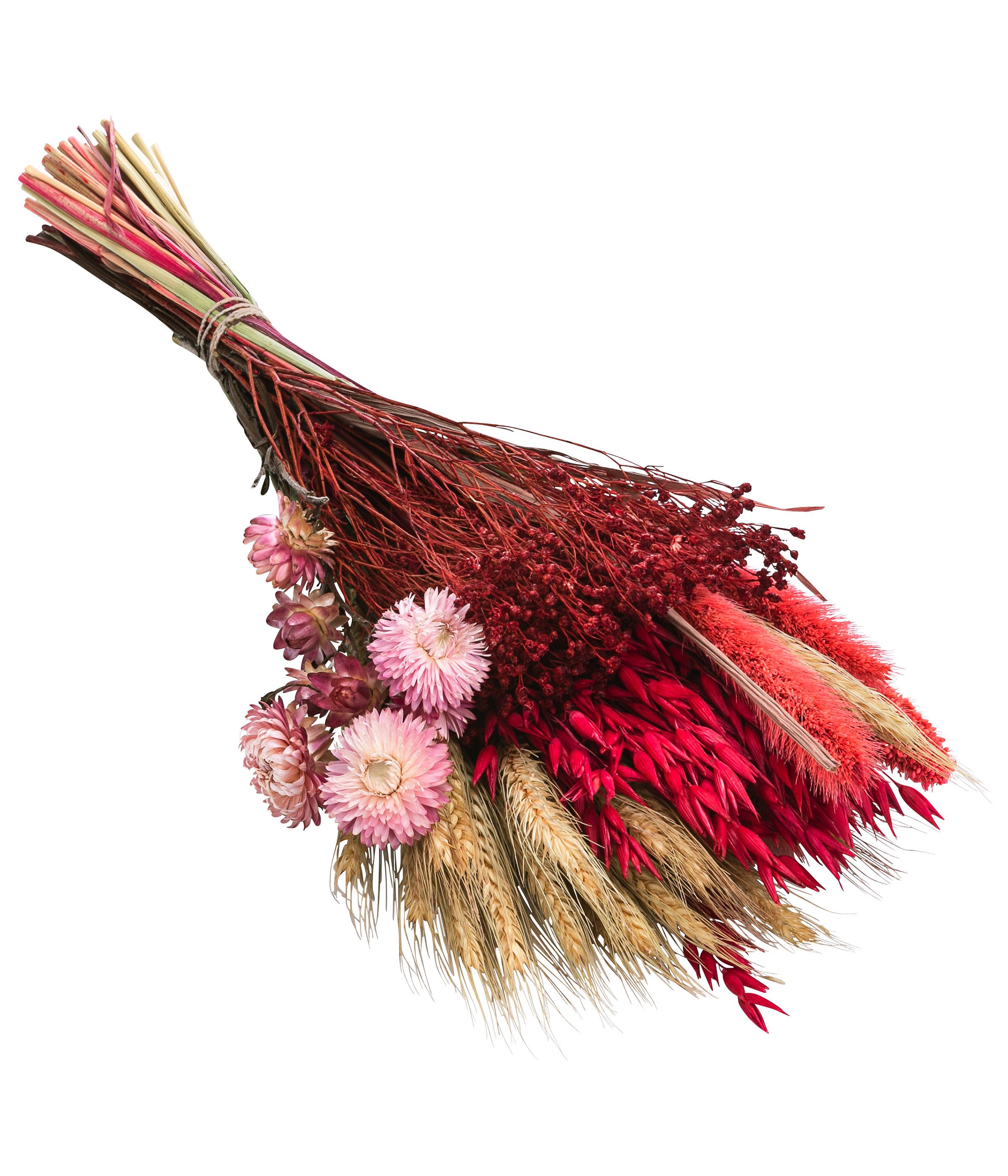 Trockenblume Blumenstrauß Trendy aus Gräsern und Blumen, Длина 40 cm, rosa Keine Angabe, Dehner, handgefertigtes, farblich abgestimmtes Bouquet, auch für DIY-Projekte