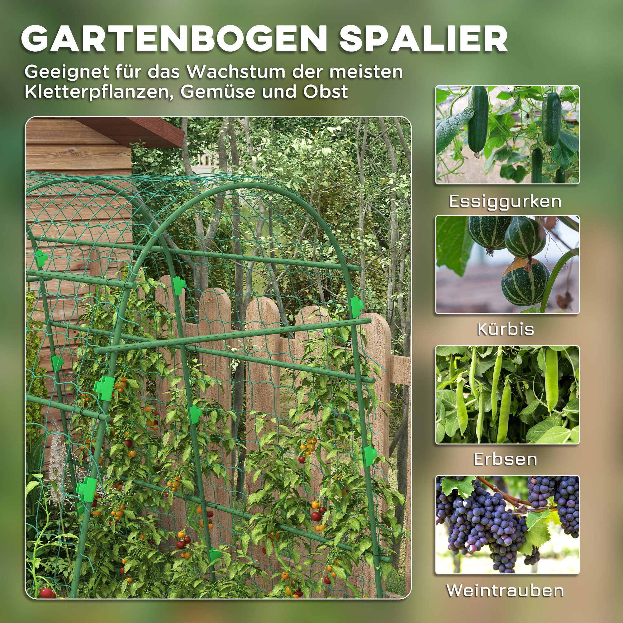 Outsunny Rankhilfe Rankgitter aus Metall rostfrei Garten Spalier Schwarz Pflanzengerüst, 1 St., Pflanzengitter, für Garten, Balkon, Stahl, Grün, 144 x 167 x 206 – Bild 4 von 5