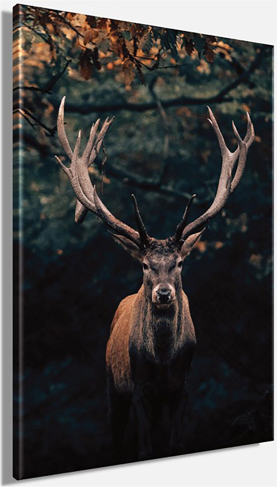 Bönninghoff Leinwandbild Wandbild HIRSCH IM WALD 78x118 cm – Leinwandbild Keilrahmen Deko, Hirsch (1 St), auf Keilrahmen gespannt – Bild 3 von 5