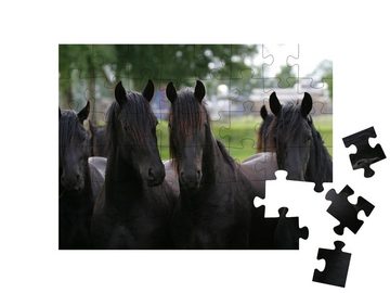 puzzleYOU Puzzle Friesische Junghengste, 48 Puzzleteile, puzzleYOU-Kollektionen Pferde, Friesenpferde