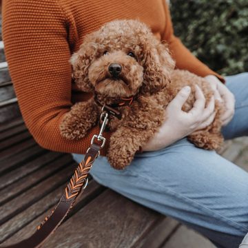 Hunter Tierbedarf Hundeleine Verstellbare Hunde-Führleine Solid Education Cord, Leder