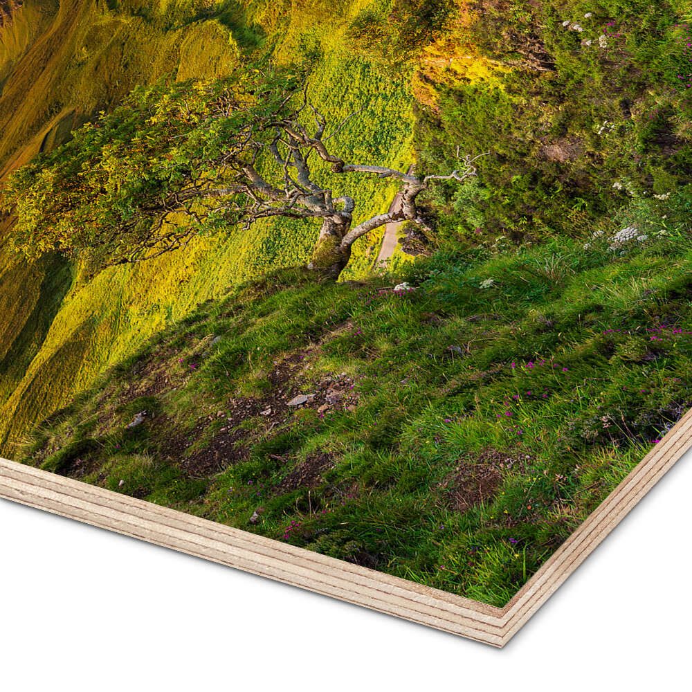 Posterlounge Wandbild Isle of Skye, Schottland, Arnold Schaffer, erhältlich als Poster, Leinwandbild, Wandsticker oder Acrylglasbild
