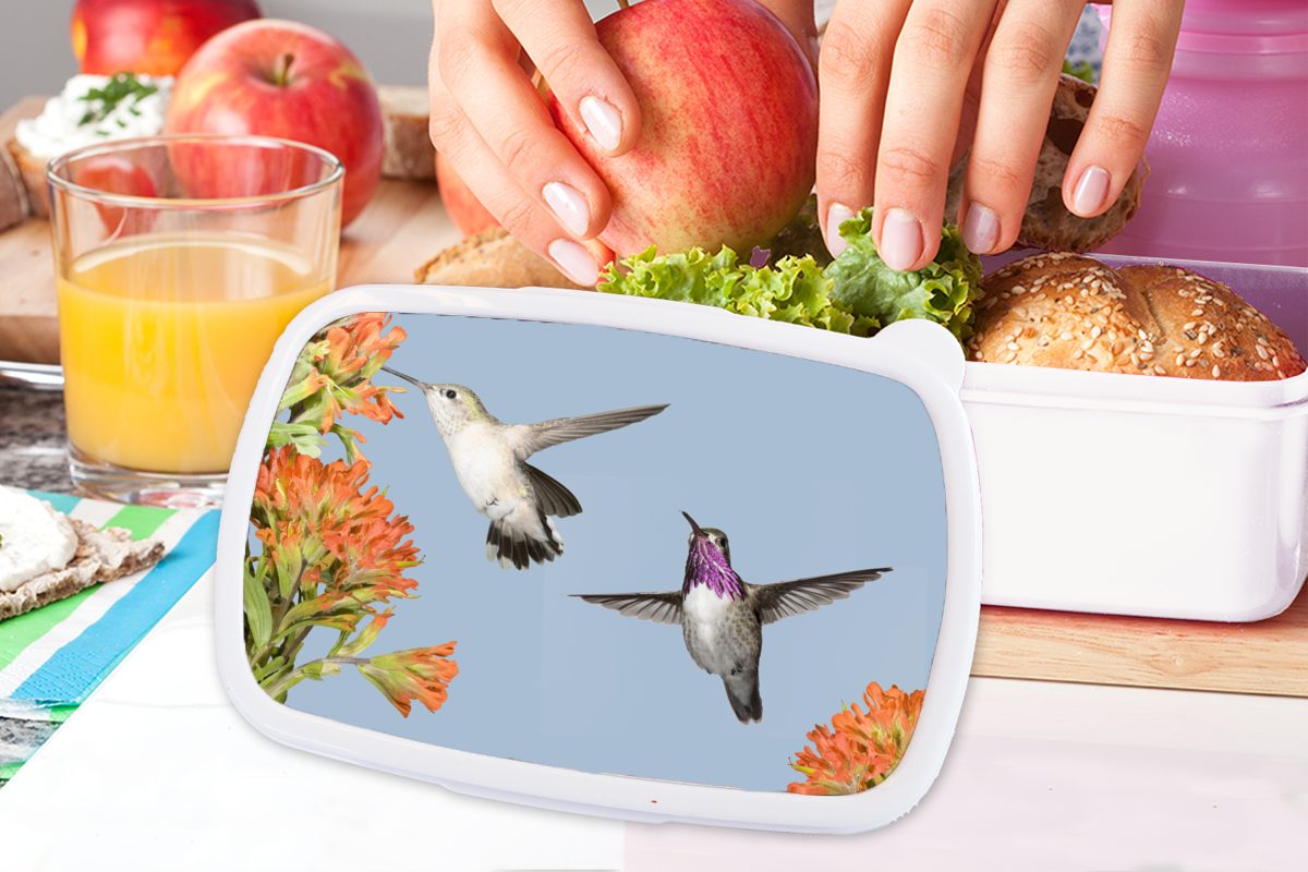 Mädchen für (2-tlg), - Kinder Jungs und Brotbox Lunchbox weiß für Kolibri MuchoWow Vögel, Blumen Erwachsene, Brotdose, und - Kunststoff,