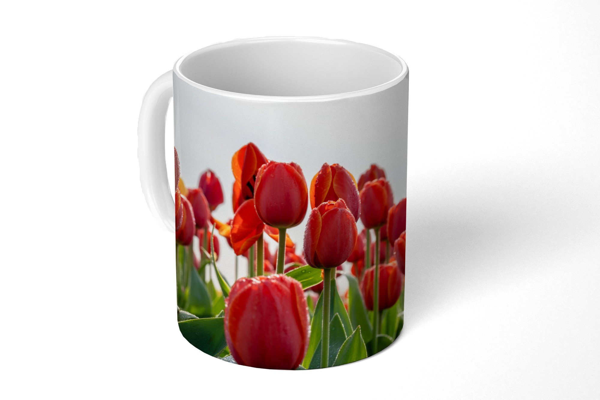 MuchoWow Tasse Ein Gebiet mit roten Tulpen in den Niederlanden, Keramik, Kaffeetassen, Teetasse, Becher, Teetasse, Geschenk