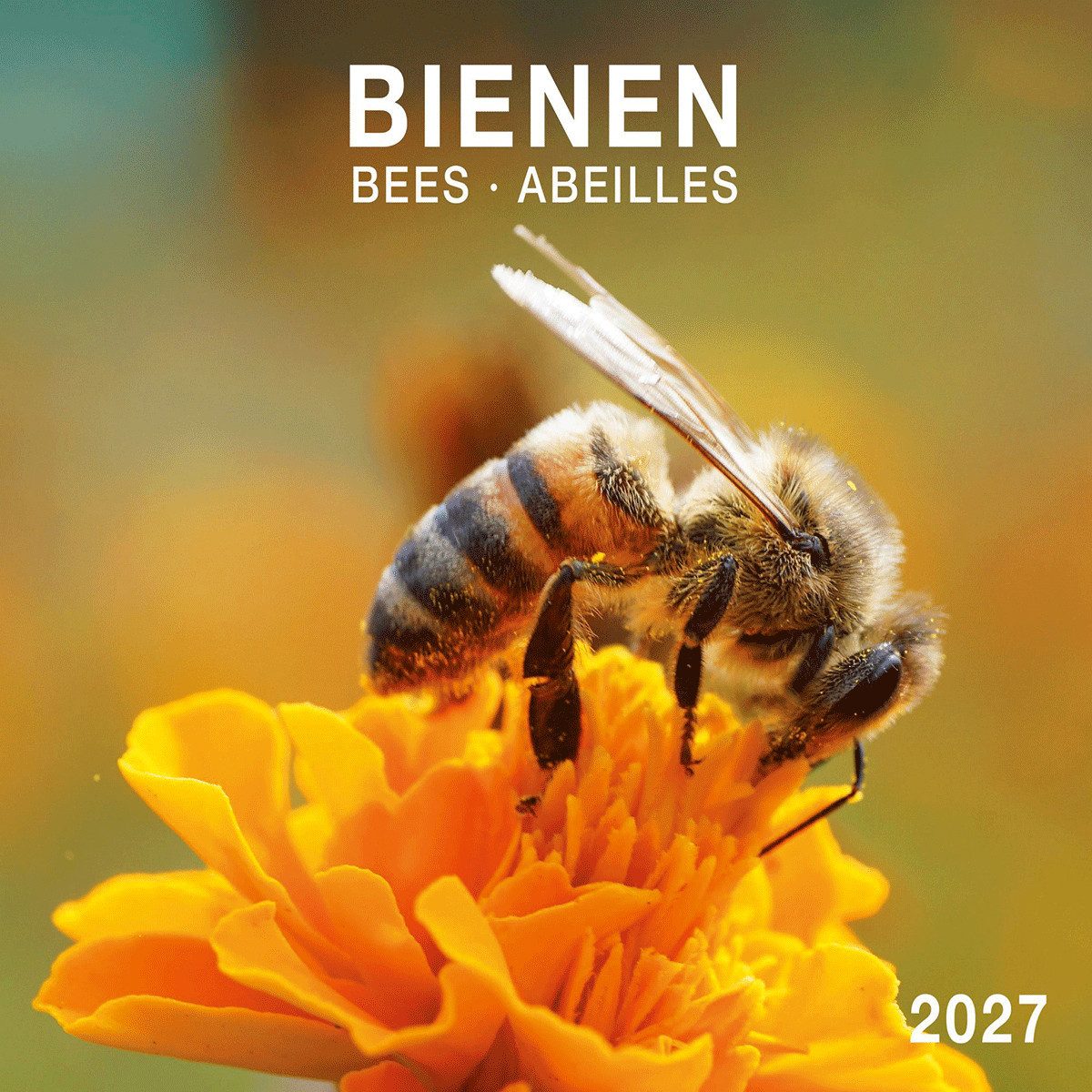 Wandkalender Bienen / Bees 2027: Kalender 2027 (Artwork Edition)